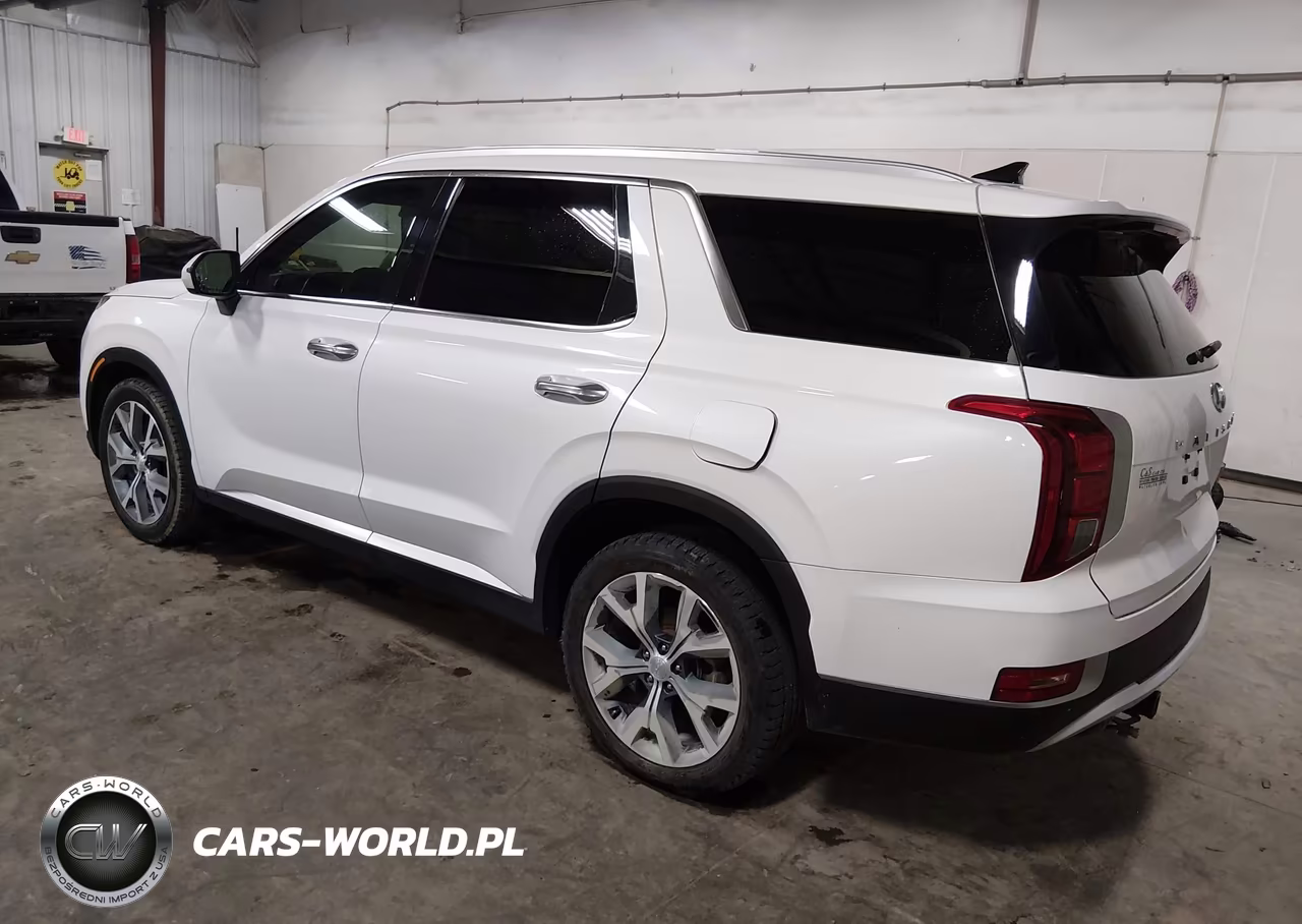 2020 Hyundai Palisade Sel VIN:KM8R4DHE9LU163953 - 3