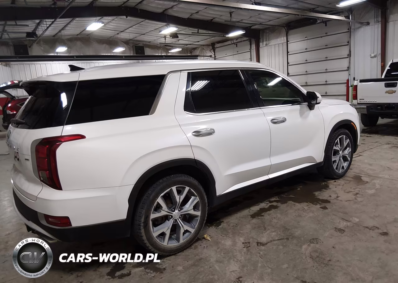 2020 Hyundai Palisade Sel VIN:KM8R4DHE9LU163953 - 4