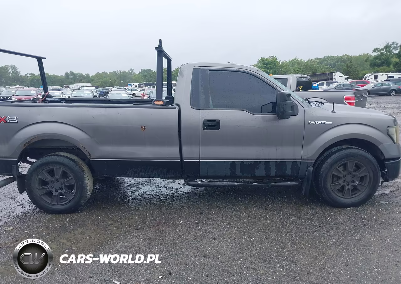2010 Ford F-150 Stx-Xl-Xl W-Mid-Box Prep-Xlt-Xlt W-Mid-Box Prep VIN:1FTMF1CW7AKB58783 - 13