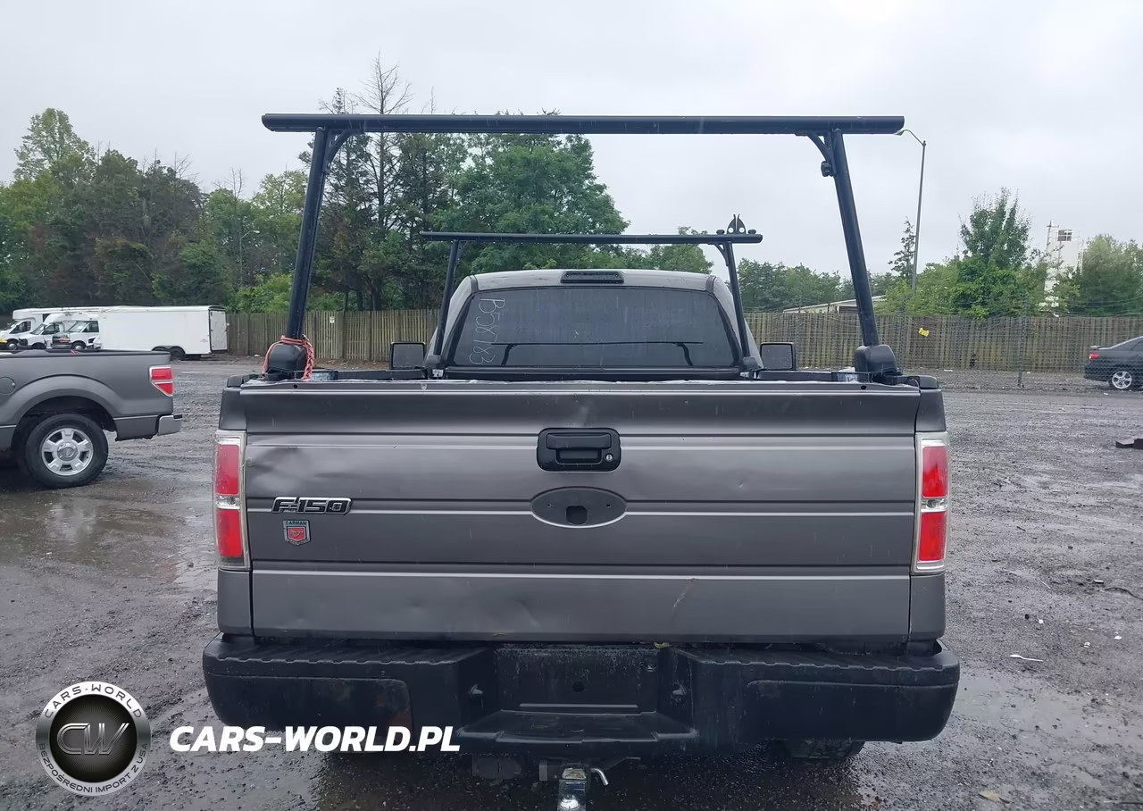 2010 Ford F-150 Stx-Xl-Xl W-Mid-Box Prep-Xlt-Xlt W-Mid-Box Prep VIN:1FTMF1CW7AKB58783 - 16