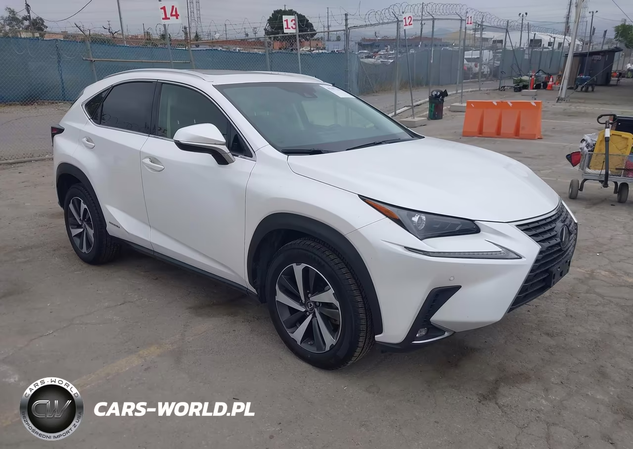 2020 Lexus Nx 300H – zdjęcie 1 z 16