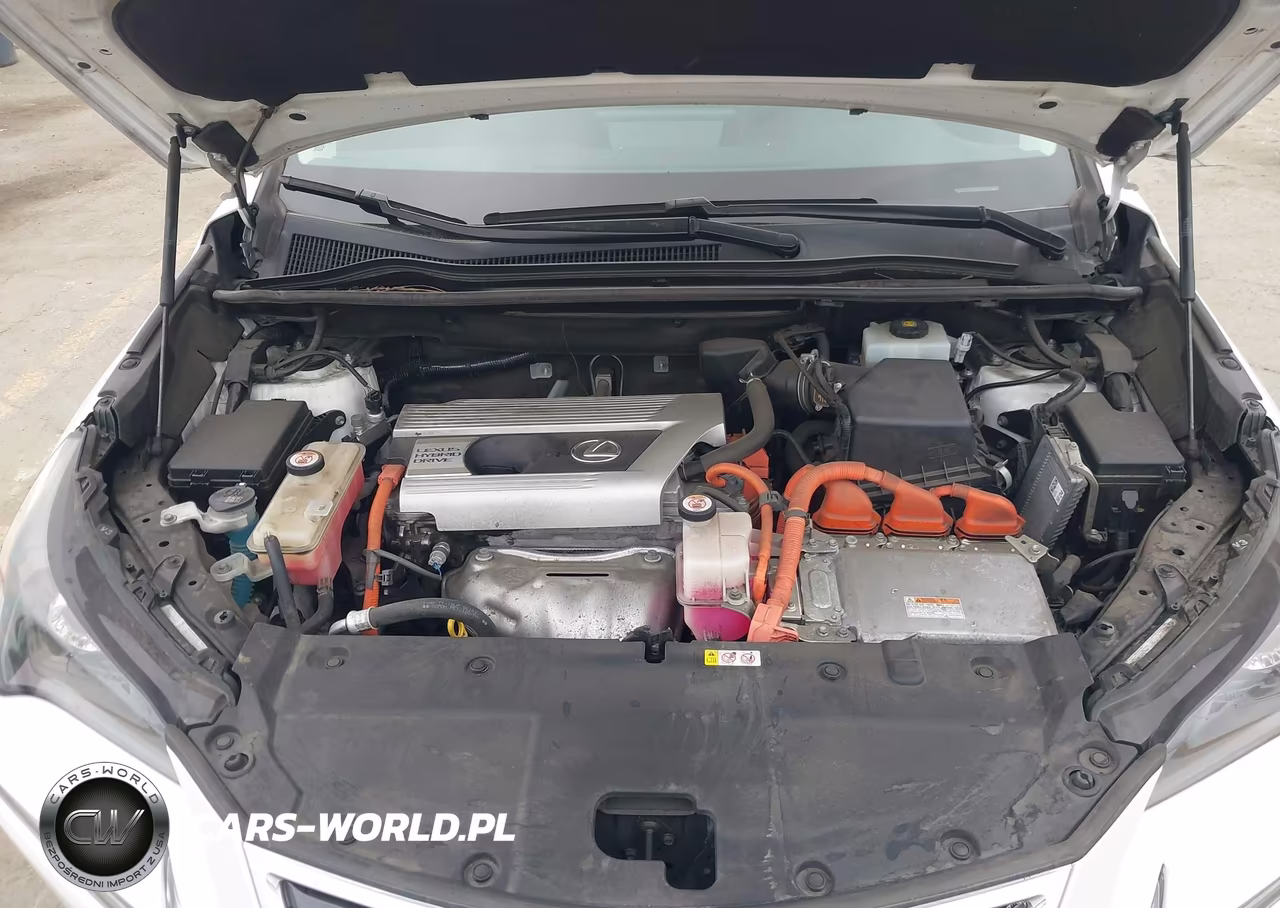 2020 Lexus Nx 300H VIN:JTJGJRDZ8L5001538 - 10