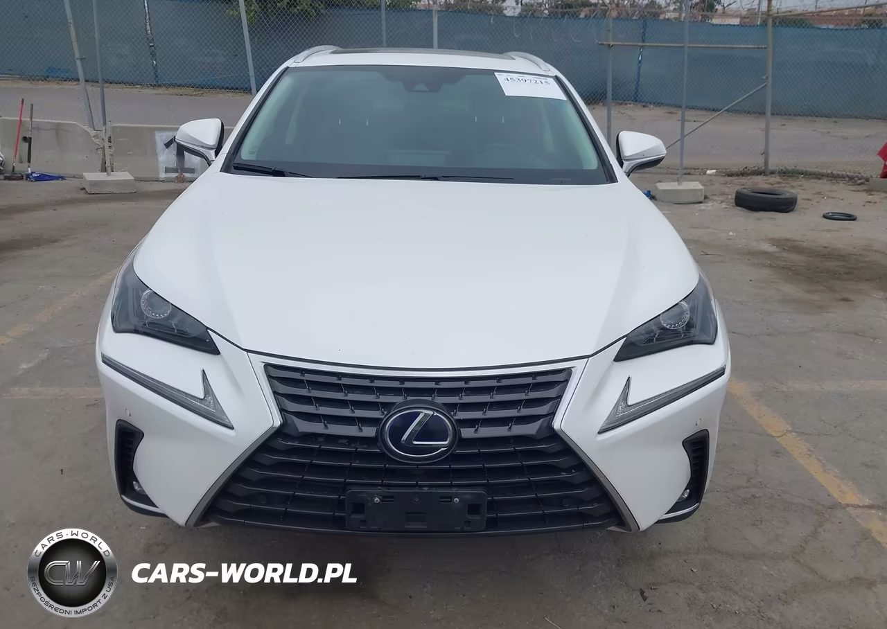 2020 Lexus Nx 300H VIN:JTJGJRDZ8L5001538 - 12