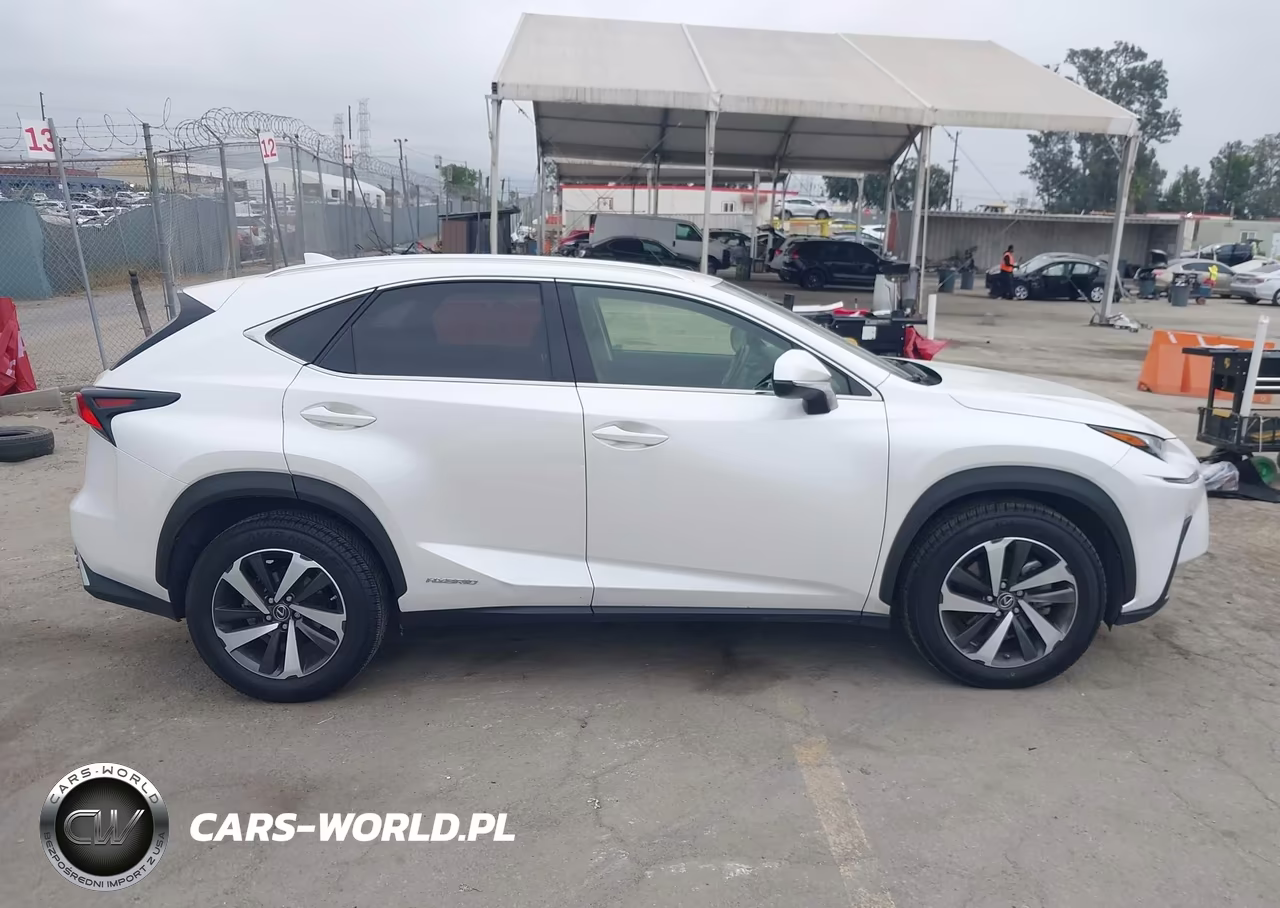 2020 Lexus Nx 300H VIN:JTJGJRDZ8L5001538 - 13