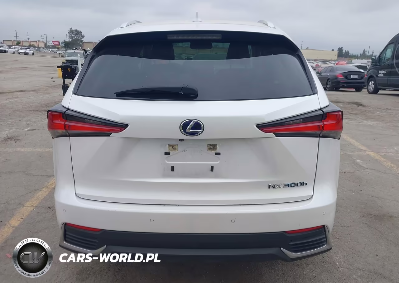2020 Lexus Nx 300H VIN:JTJGJRDZ8L5001538 - 16
