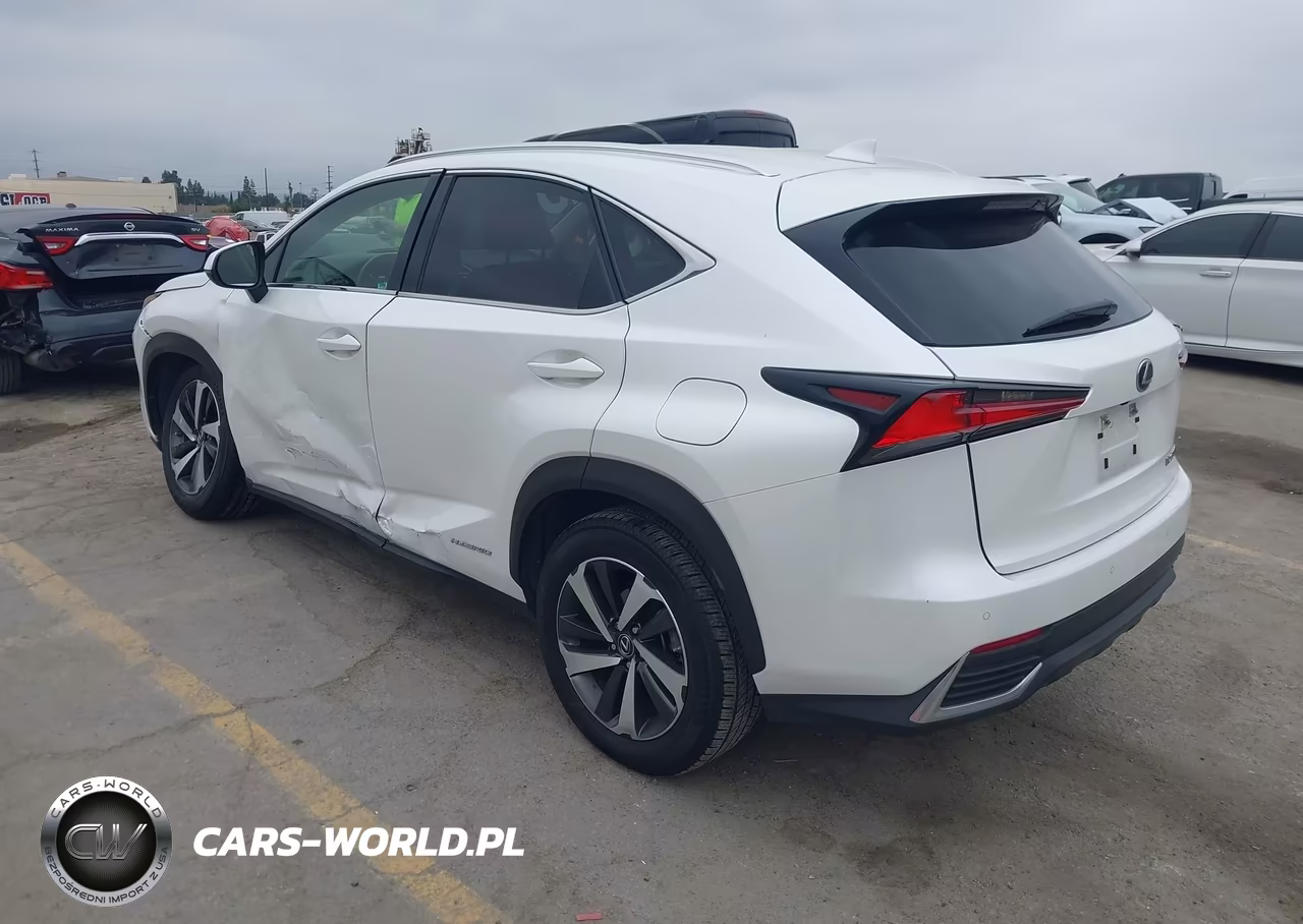 2020 Lexus Nx 300H VIN:JTJGJRDZ8L5001538 - 3