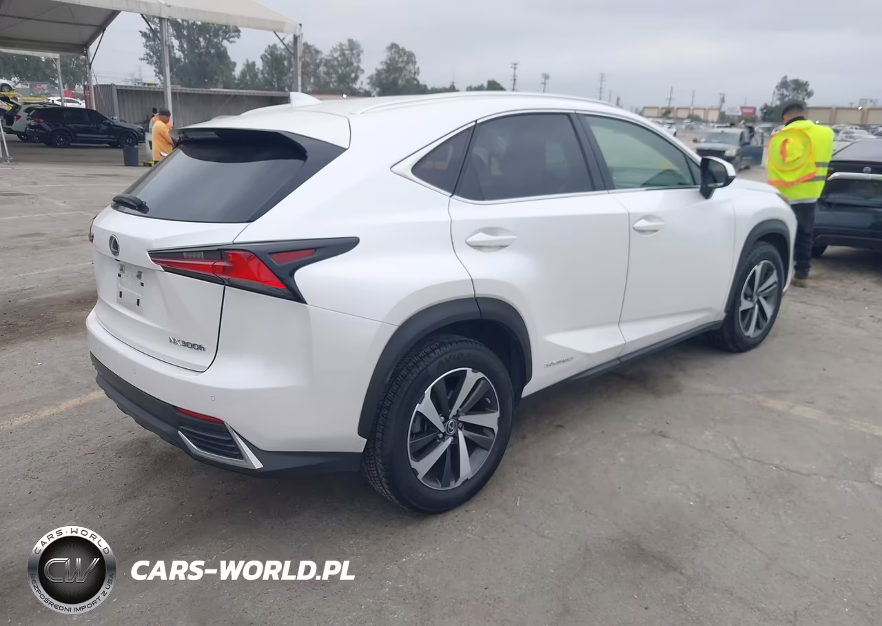 2020 Lexus Nx 300H VIN:JTJGJRDZ8L5001538 - 4