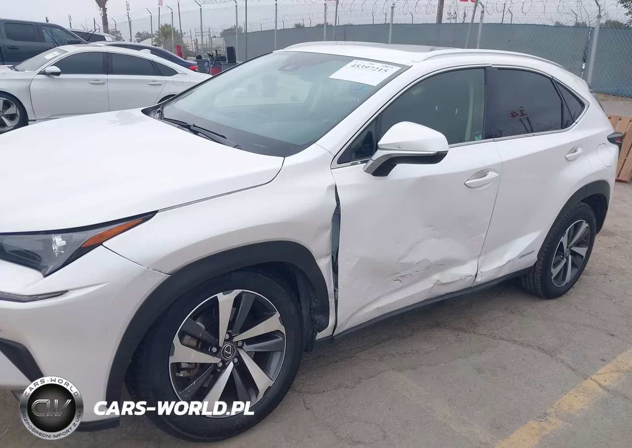 2020 Lexus Nx 300H VIN:JTJGJRDZ8L5001538 - 6