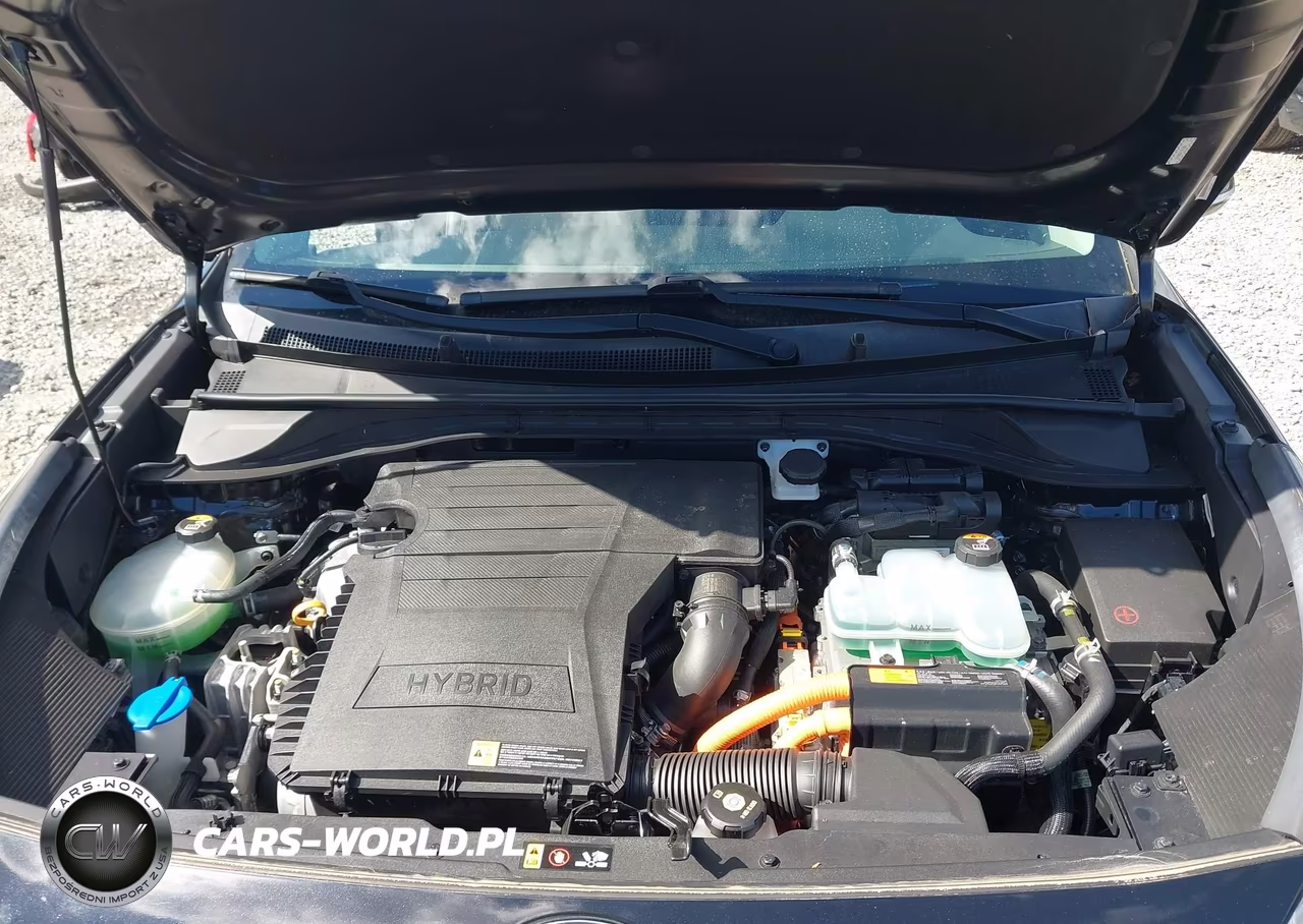 2017 Kia Niro Ex VIN:KNDCC3LC1H5080239 - 10