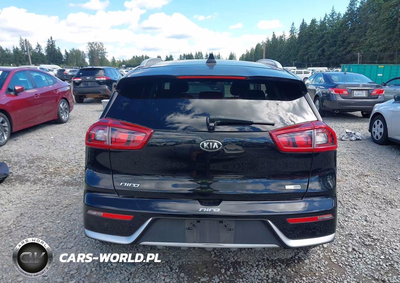 2017 Kia Niro Ex VIN:KNDCC3LC1H5080239 - 17
