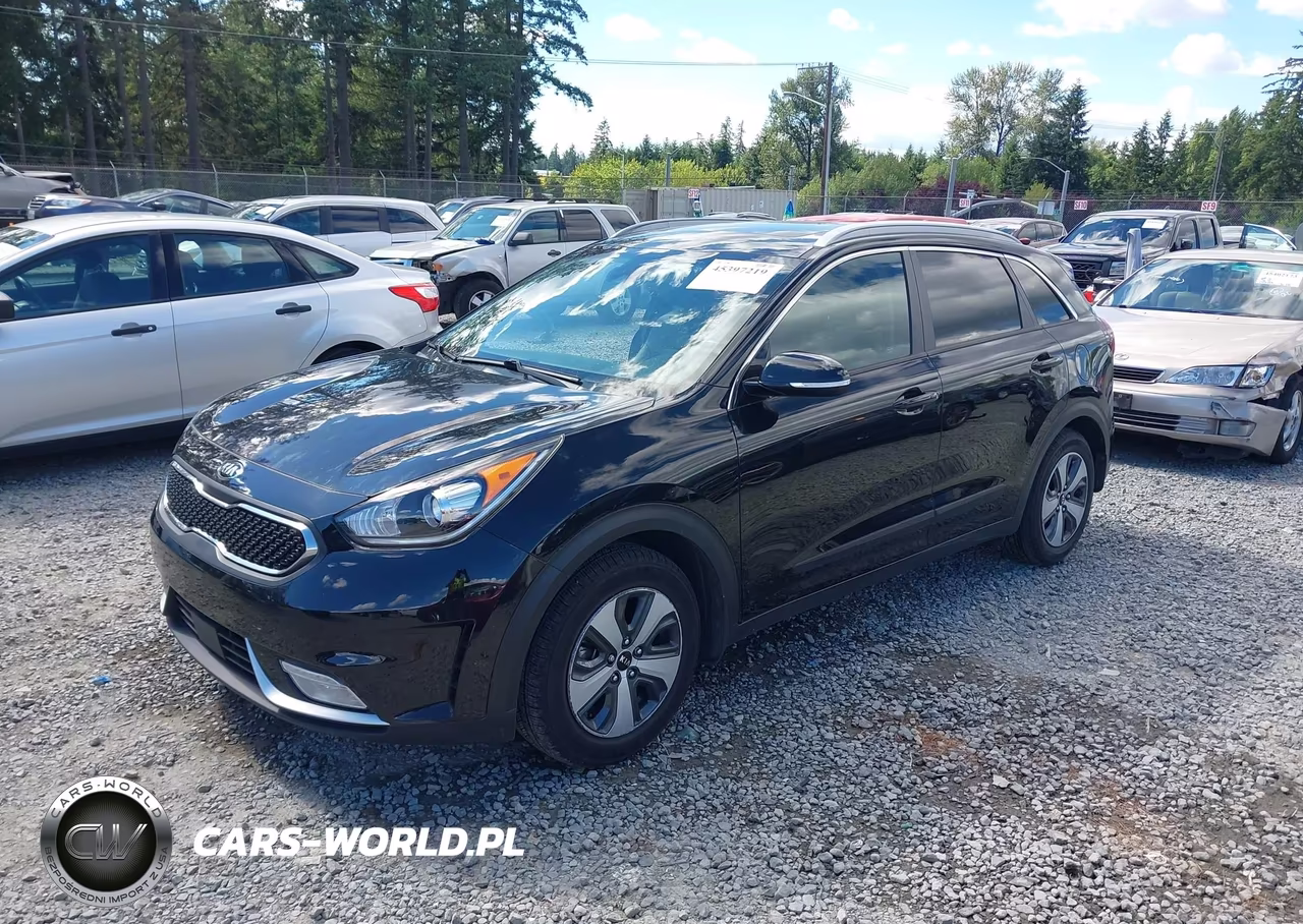 2017 Kia Niro Ex VIN:KNDCC3LC1H5080239 - 2