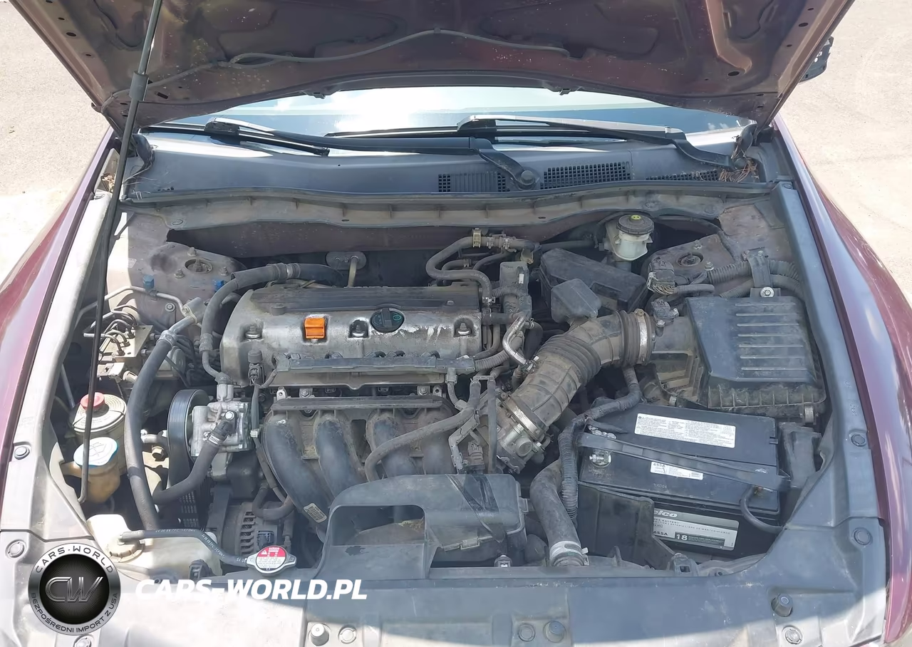 2010 Honda Accord 2.4 Lx VIN:1HGCP2F33AA026403 - 10
