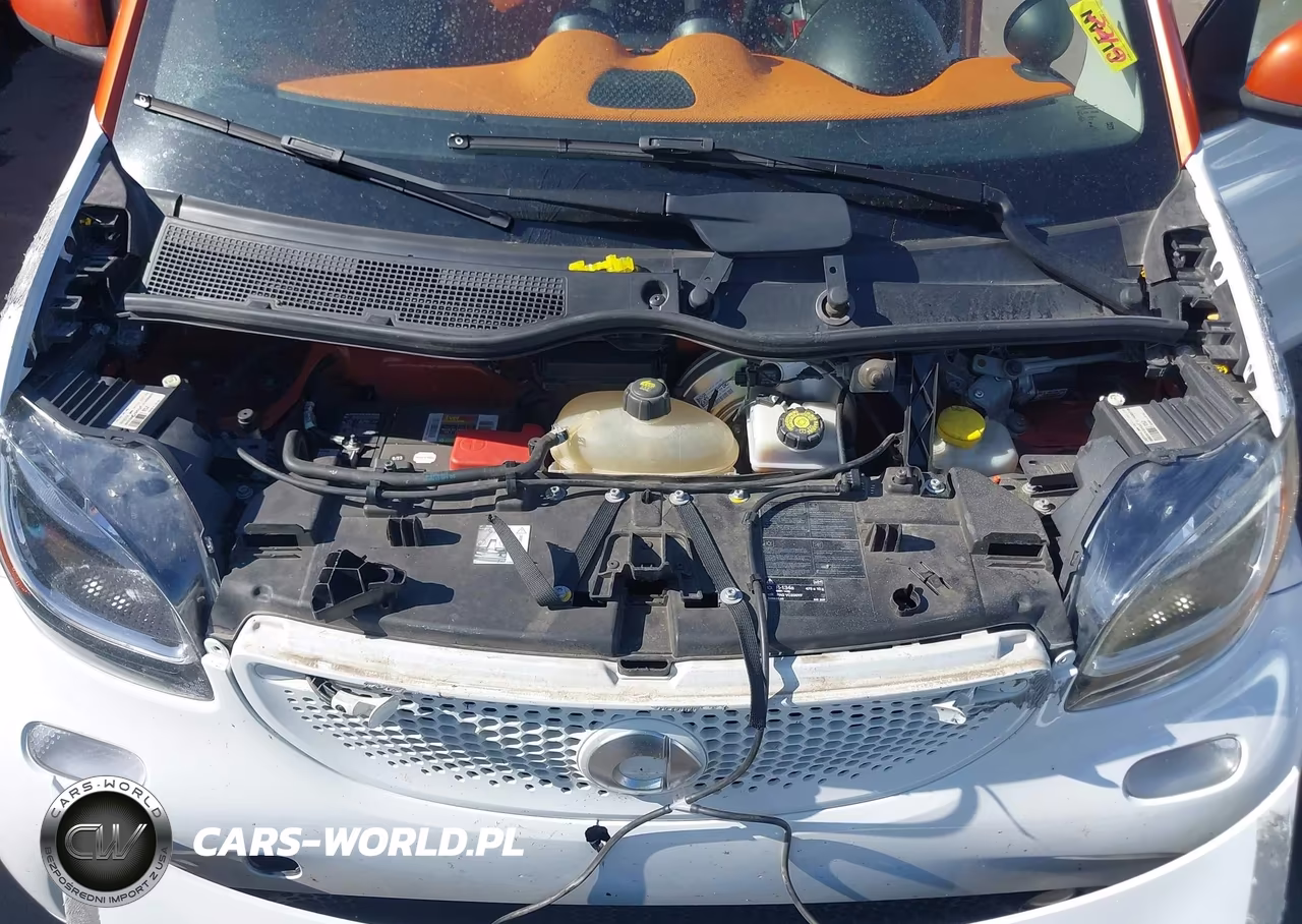 2016 Smart Fortwo Passion VIN:WMEFJ5DA2GK051930 - 10