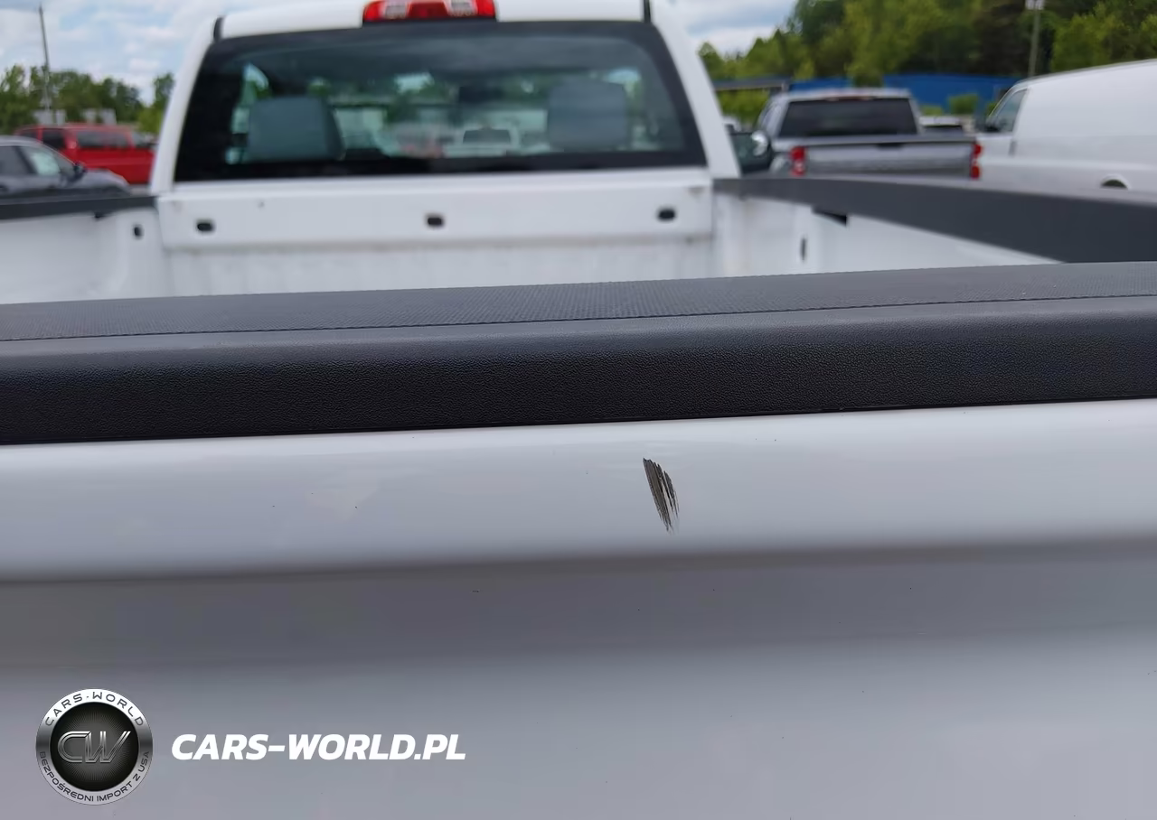 2016 Chevrolet Silverado 1500 Work Truck VIN:1GCNCNEH9GZ273534 - 13
