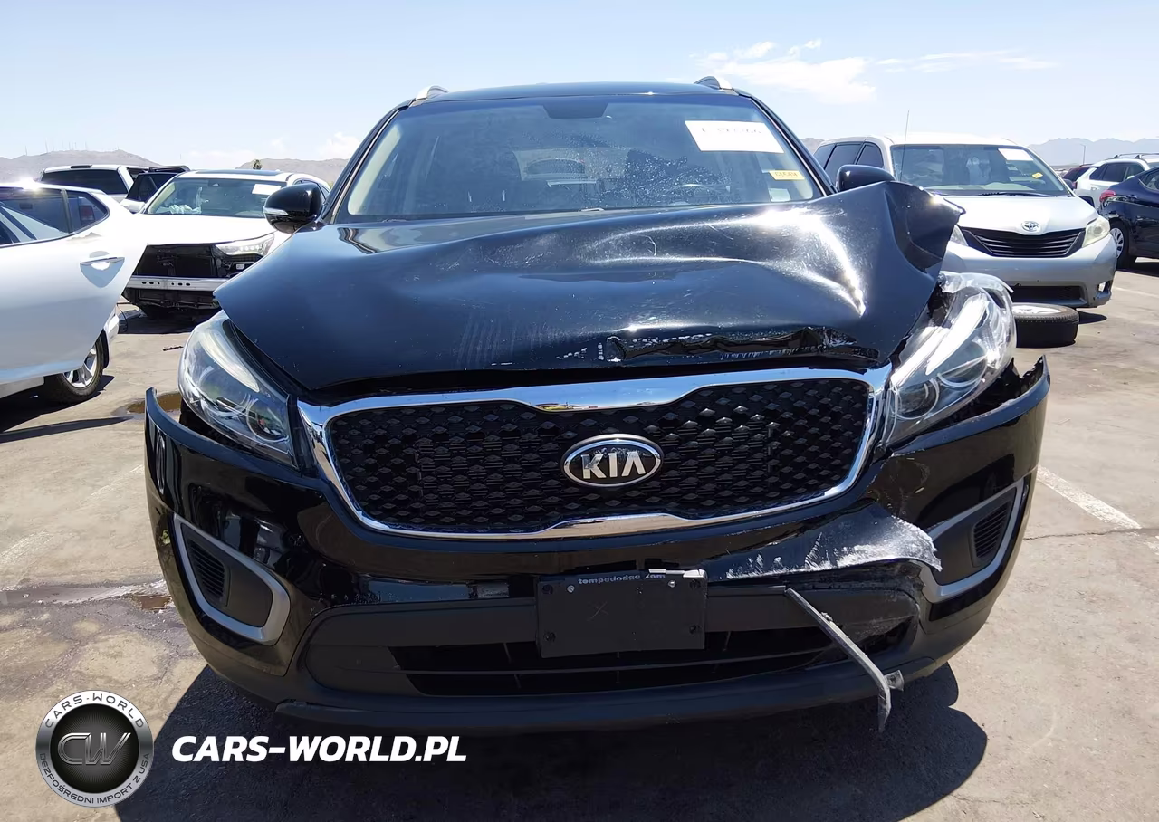 2016 Kia Sorento 2.4L Lx VIN:5XYPG4A34GG060667 - 12
