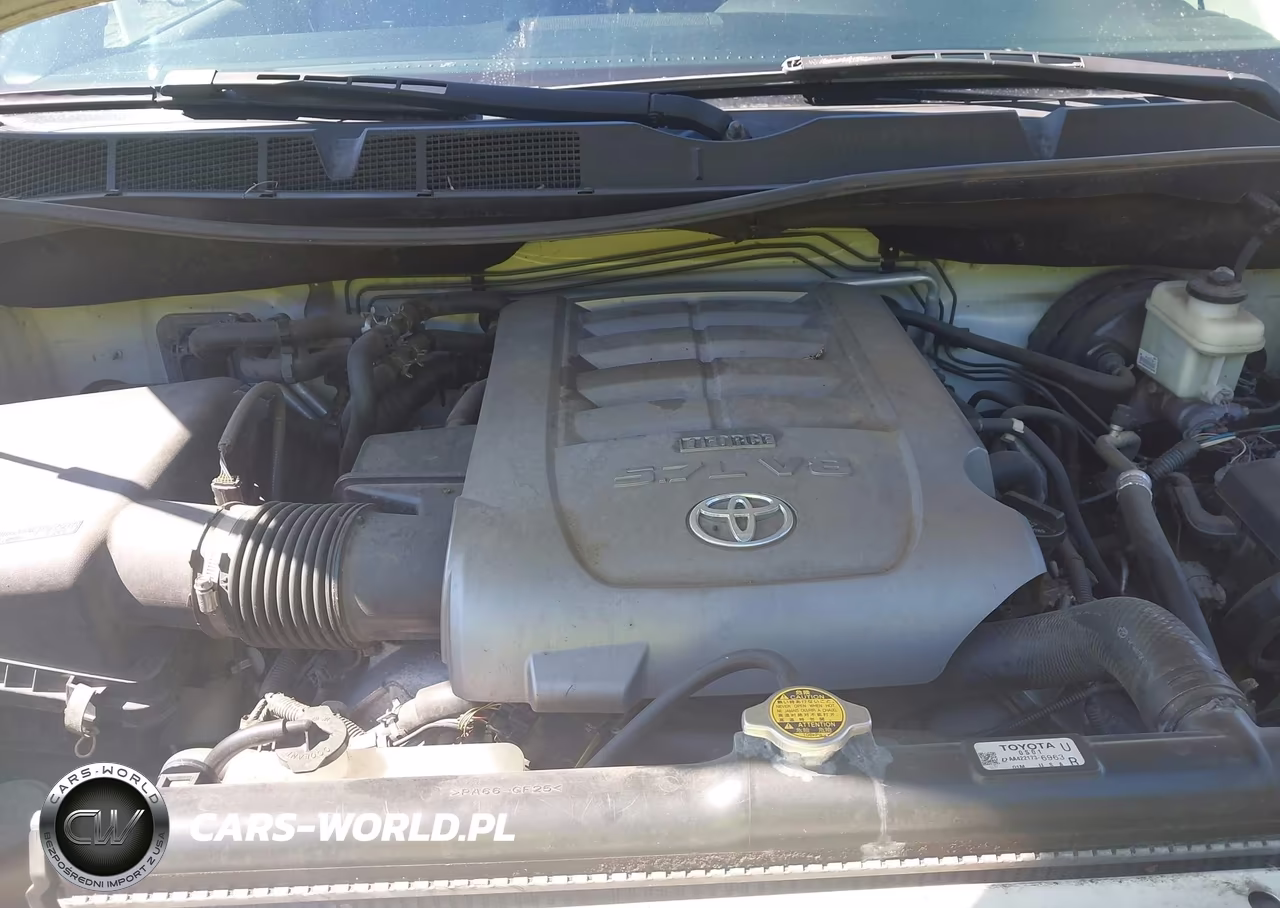2010 Toyota Sequoia Platinum 5.7L V8 VIN:5TDDW5G13AS032368 - 10