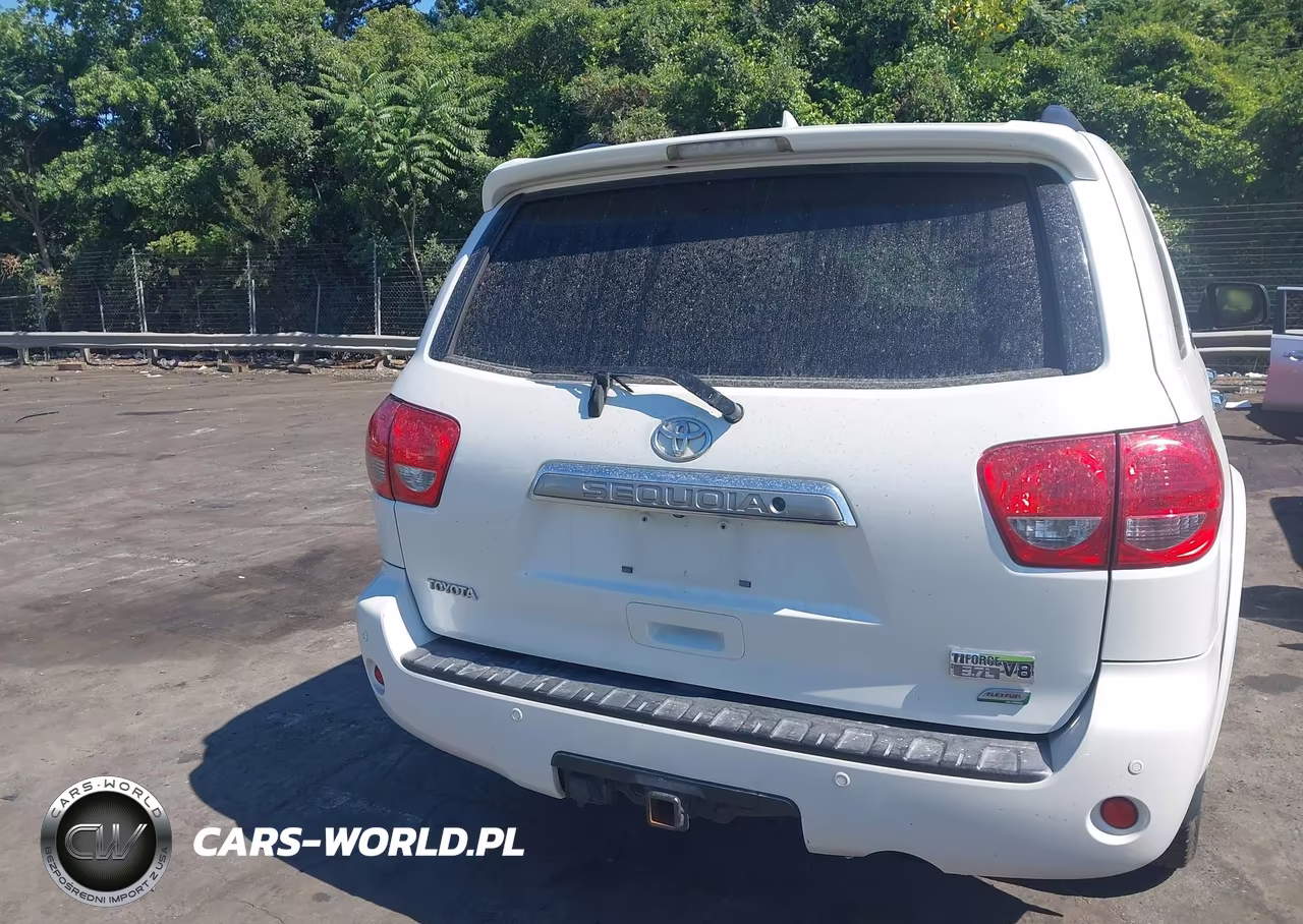 2010 Toyota Sequoia Platinum 5.7L V8 VIN:5TDDW5G13AS032368 - 16