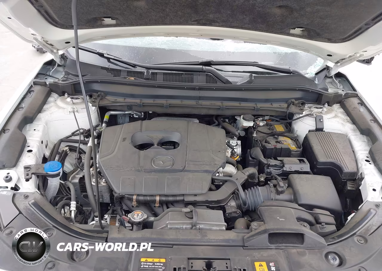 2024 Mazda Cx-5 2.5 S Premium Plus VIN:JM3KFBEM6R0390010 - 10