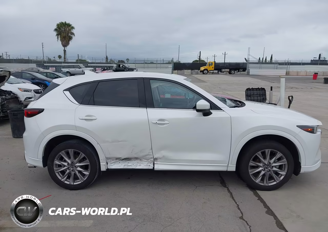 2024 Mazda Cx-5 2.5 S Premium Plus VIN:JM3KFBEM6R0390010 - 13