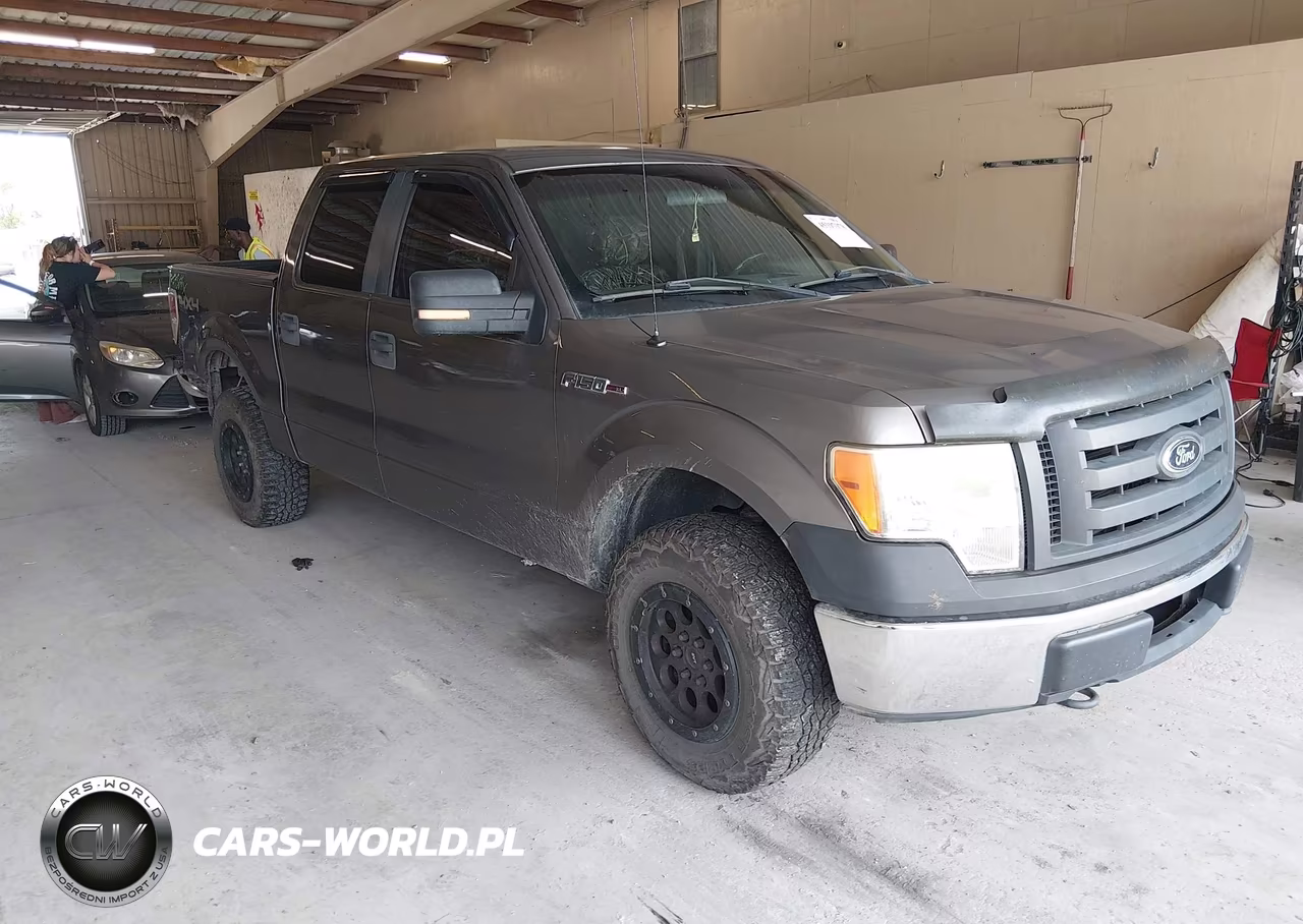 2010 Ford F-150 Xl-Xlt