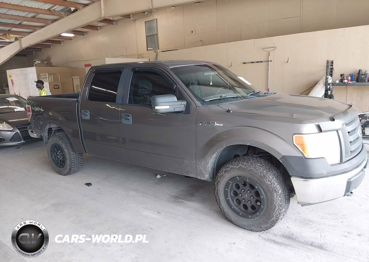 2010 Ford F-150 Xl-Xlt VIN:1FTEW1E84AFA63254 - 13