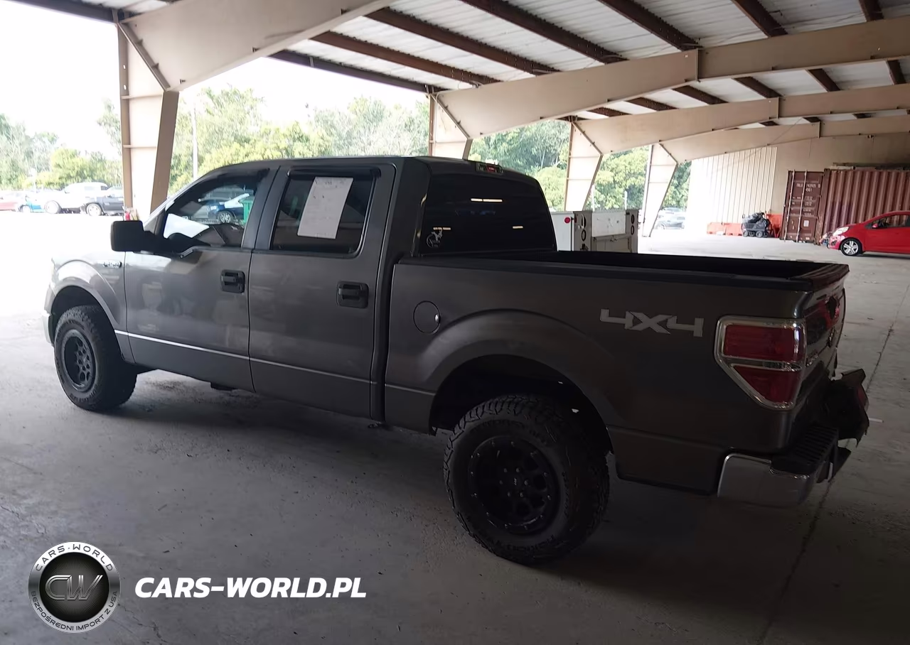 2010 Ford F-150 Xl-Xlt VIN:1FTEW1E84AFA63254 - 14