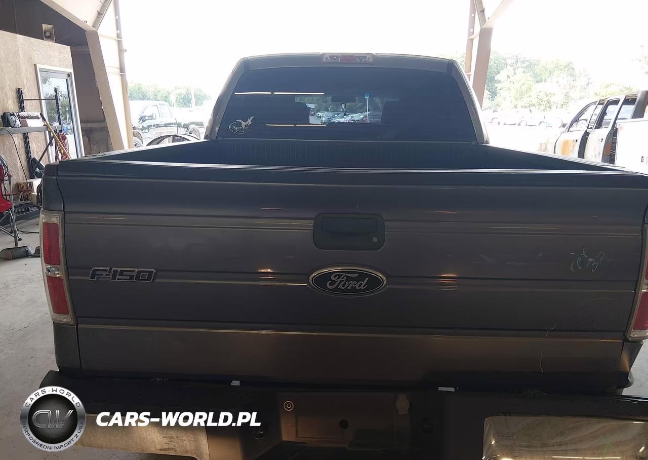 2010 Ford F-150 Xl-Xlt VIN:1FTEW1E84AFA63254 - 16