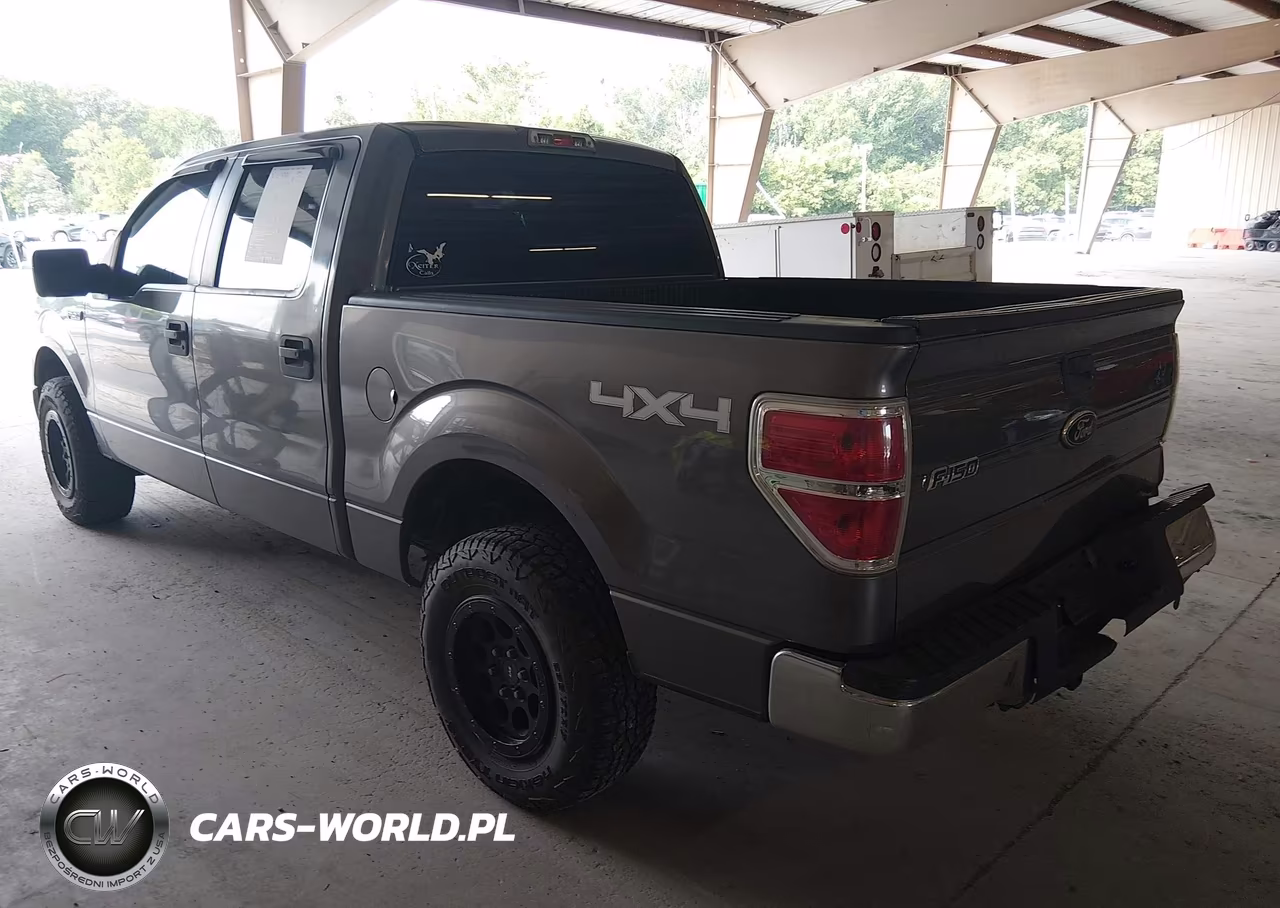 2010 Ford F-150 Xl-Xlt VIN:1FTEW1E84AFA63254 - 3