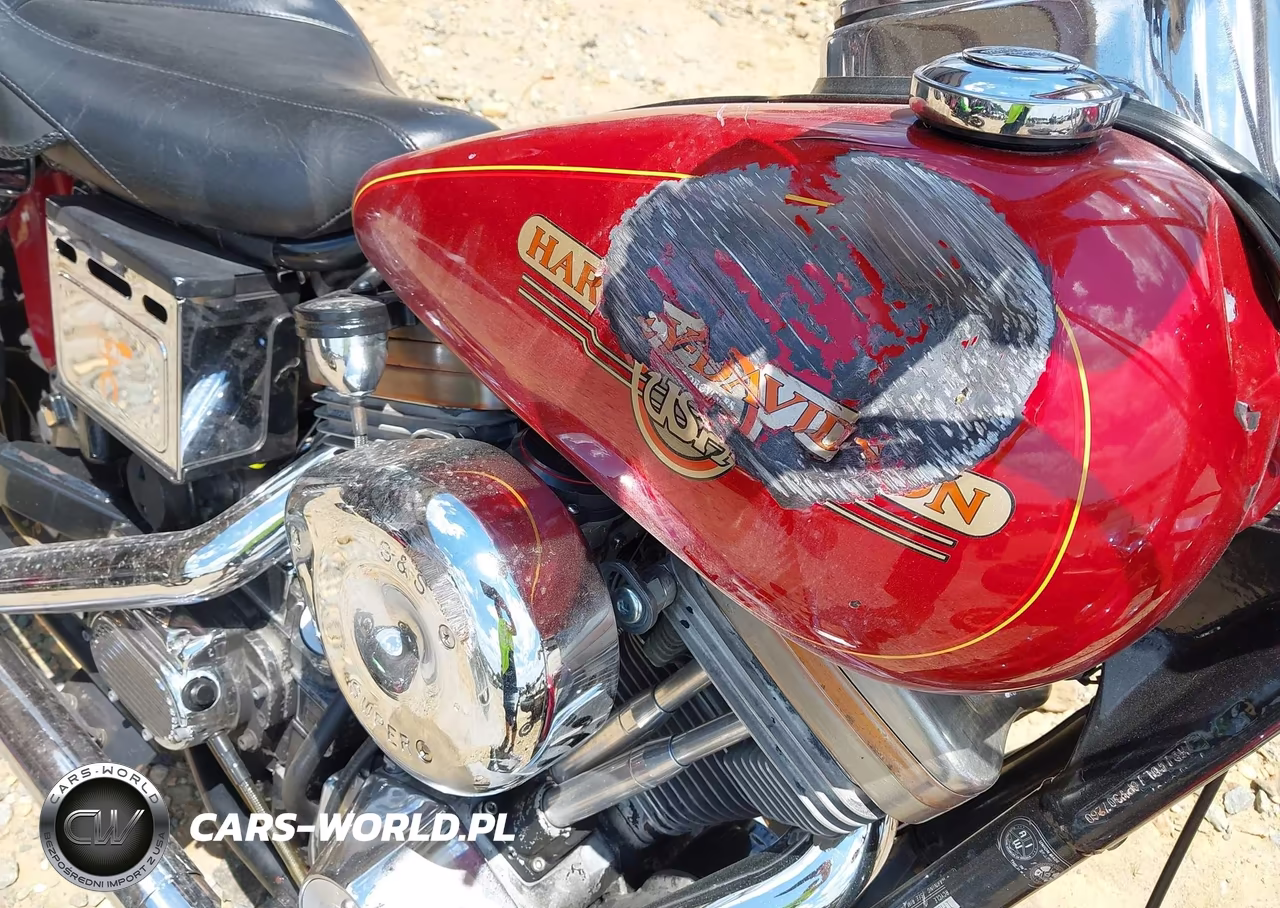 1993 Harley-Davidson Fxdl VIN:1HD1GDL16PY307260 - 18