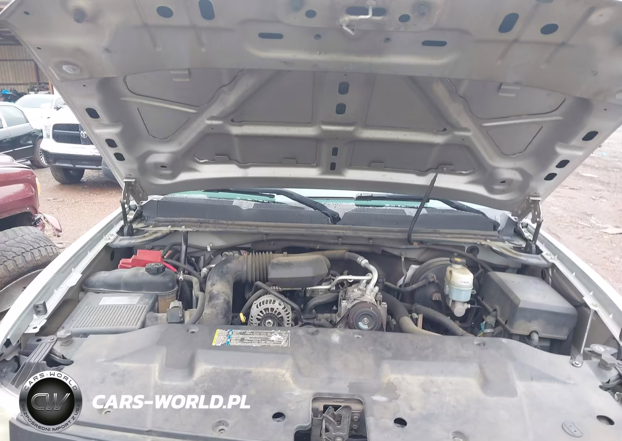 2010 Chevrolet Silverado 1500 Work Truck VIN:1GCPCPEX4AZ132034 - 10