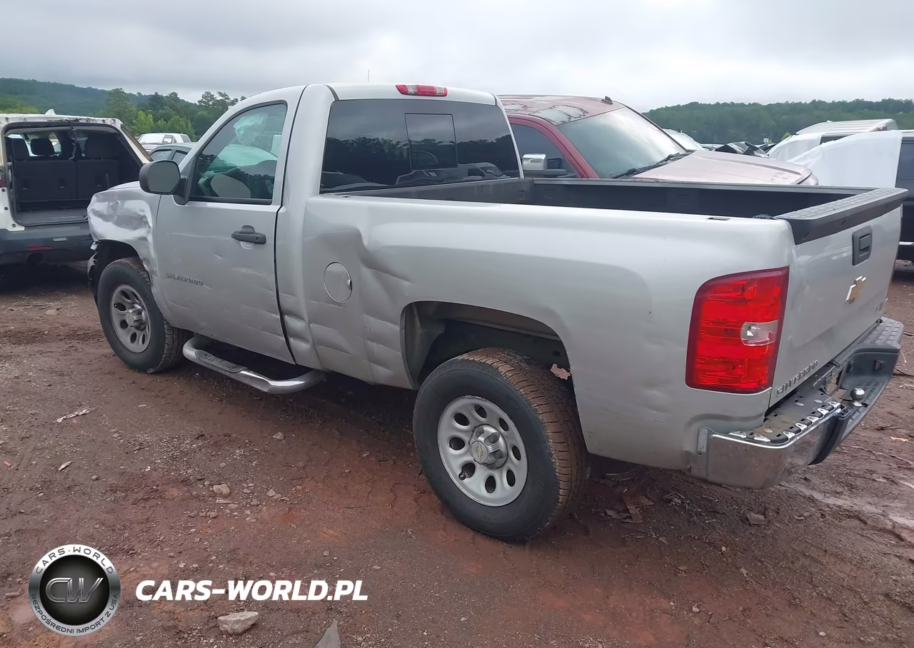2010 Chevrolet Silverado 1500 Work Truck VIN:1GCPCPEX4AZ132034 - 3