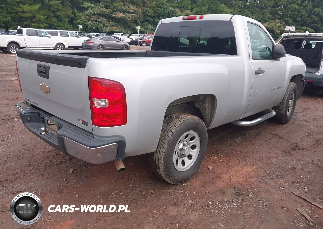 2010 Chevrolet Silverado 1500 Work Truck VIN:1GCPCPEX4AZ132034 - 4