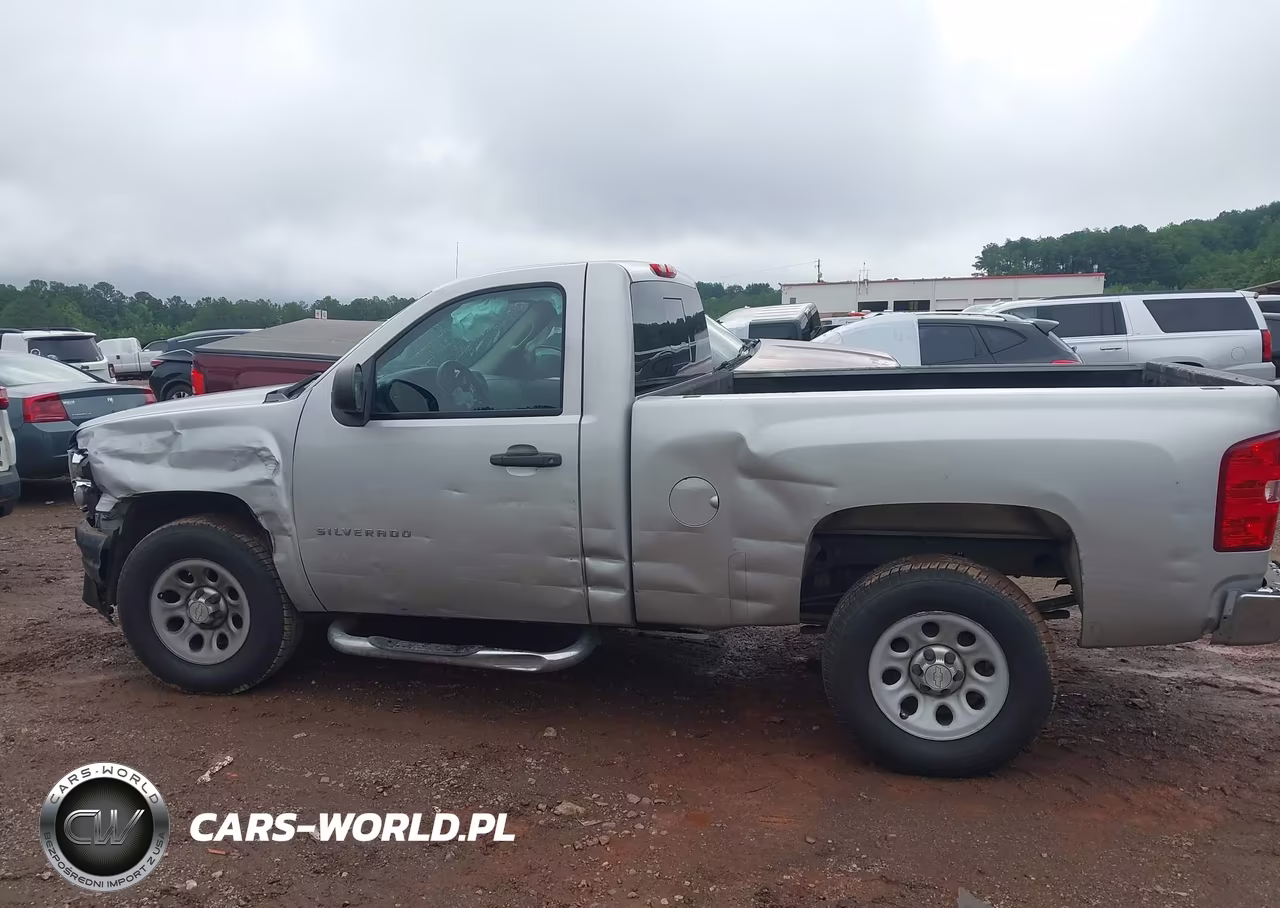 2010 Chevrolet Silverado 1500 Work Truck VIN:1GCPCPEX4AZ132034 - 6