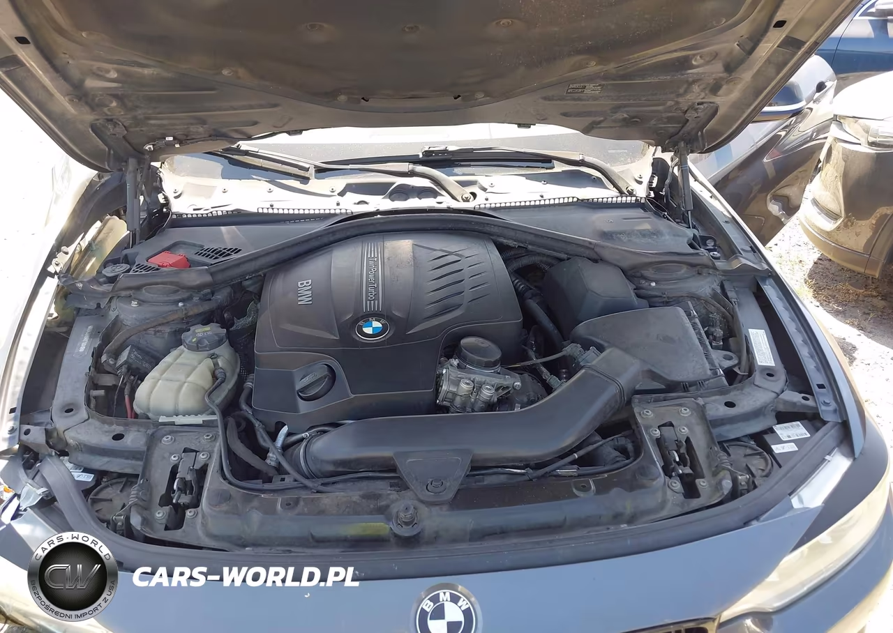 2014 BMW 435I VIN:WBA3R1C57EF729498 - 10