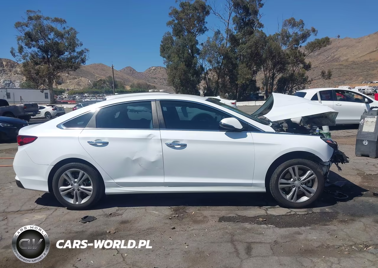 2018 Hyundai Sonata Sel VIN:5NPE34AF0JH597923 - 12
