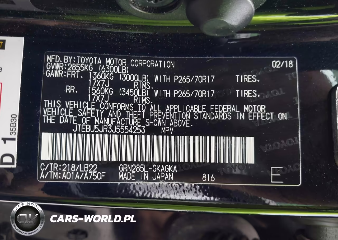 2018 Toyota 4Runner Sr5 Premium VIN:JTEBU5JR3J5554253 - 9