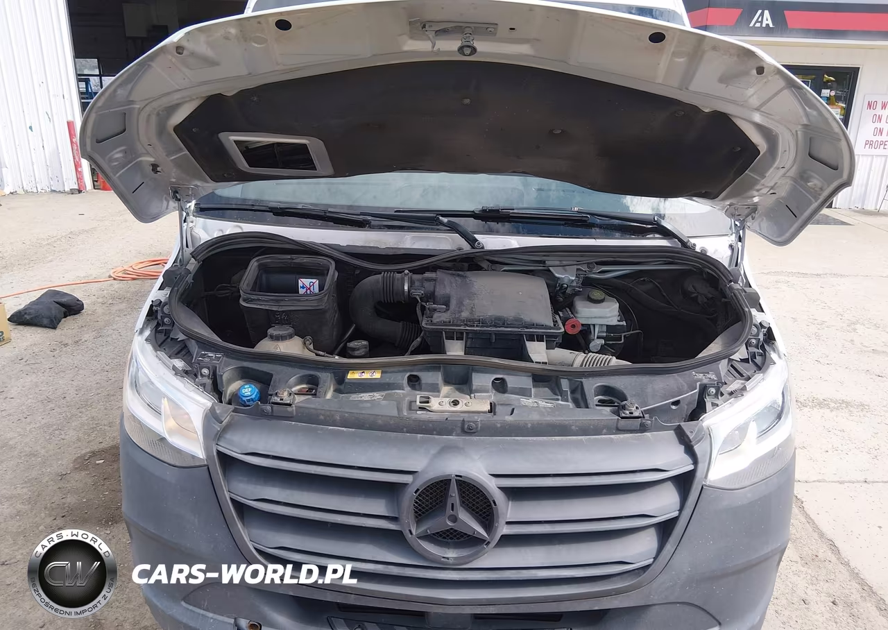 2021 Mercedes-Benz Sprinter 2500 Standard Roof V6 VIN:W1Y4EBVY2MT059404 - 10