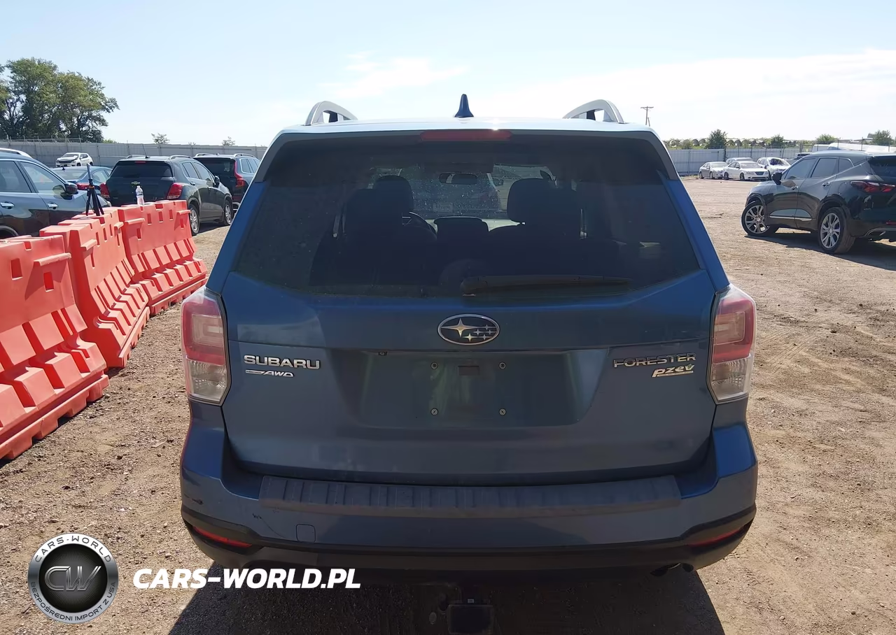 2017 Subaru Forester 2.5I Premium VIN:JF2SJAGCXHH805689 - 17
