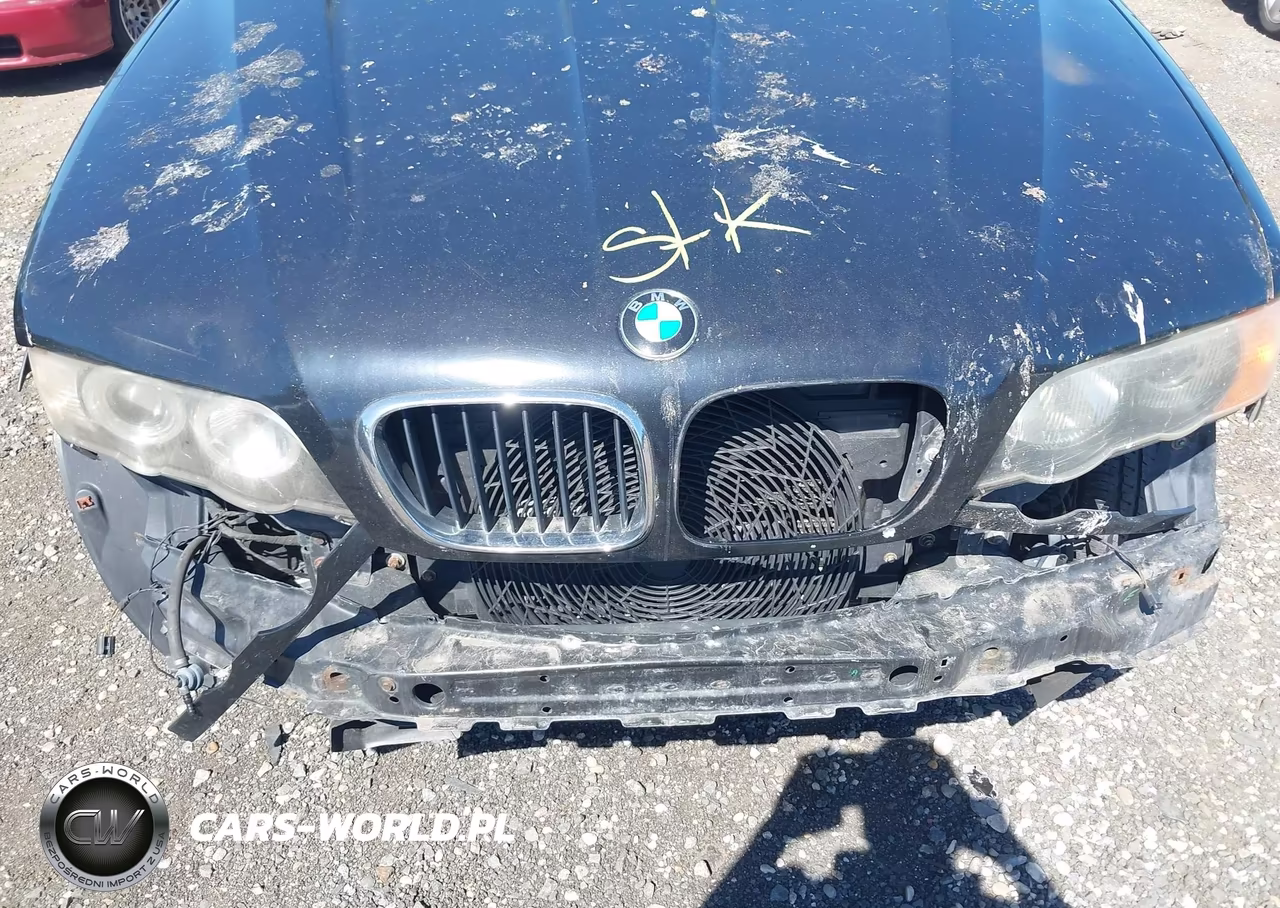 2001 BMW X5 3.0 VIN:WBAFA53531LM85002 - 10