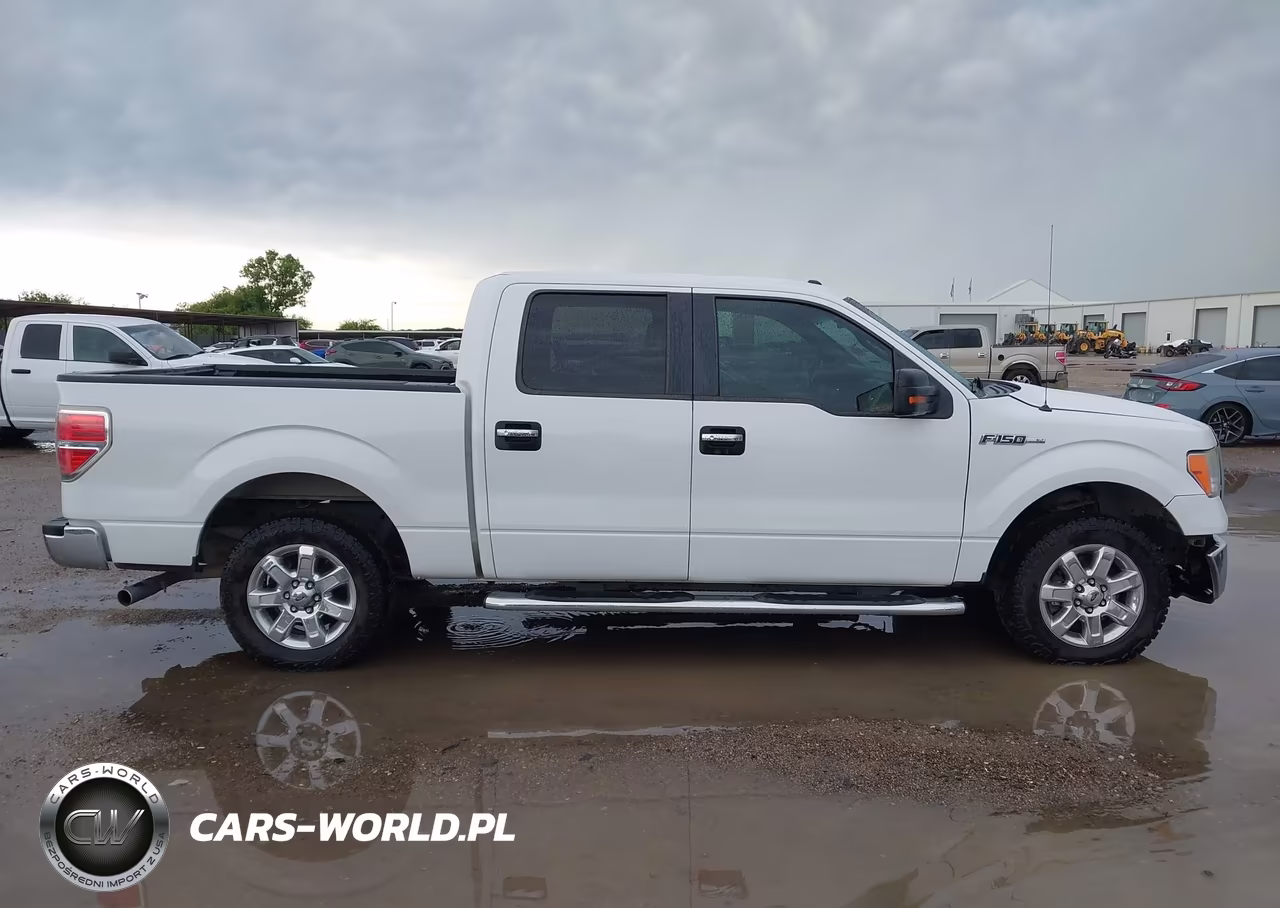 2013 Ford F-150 Xlt VIN:1FTEW1CMXDFE01874 - 14