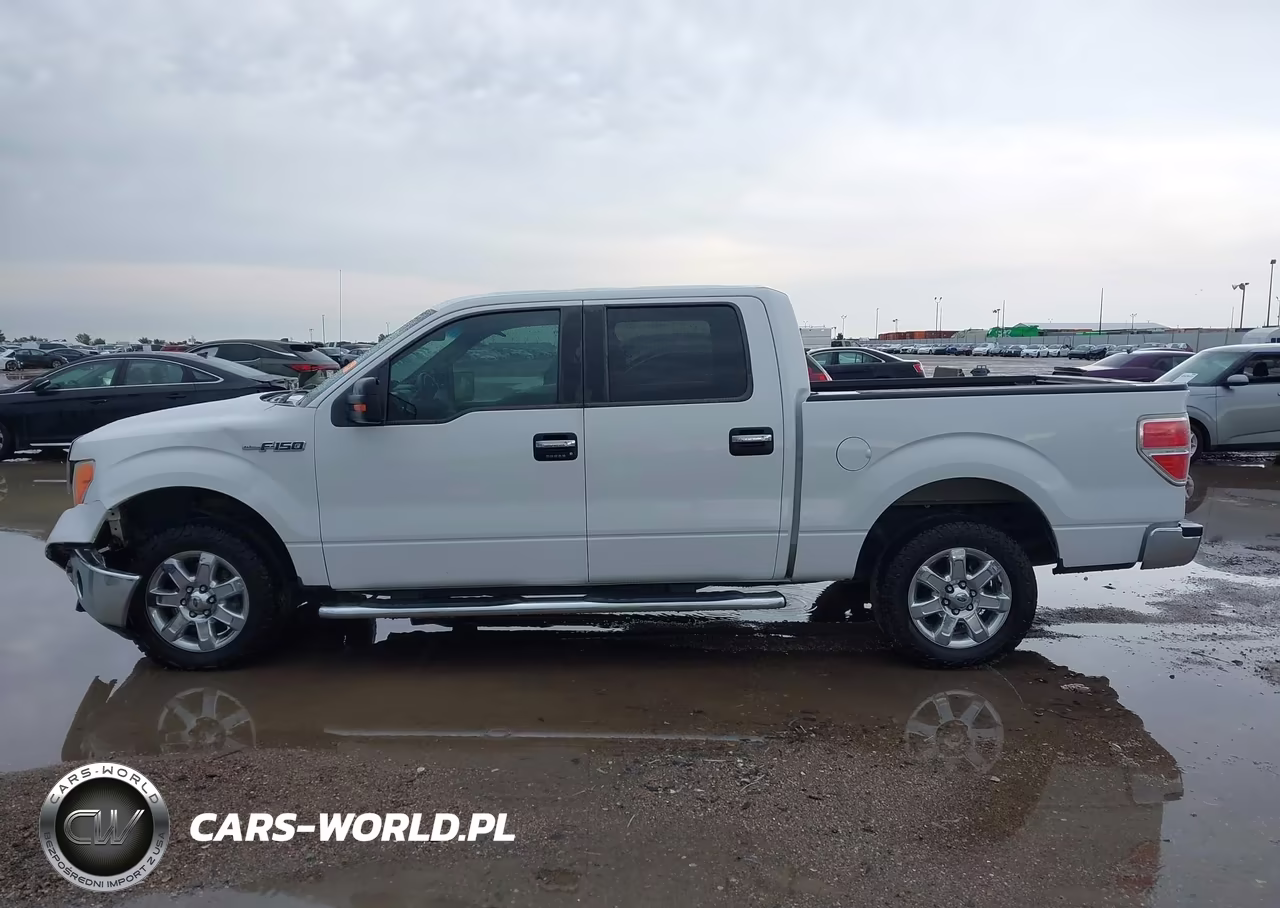 2013 Ford F-150 Xlt VIN:1FTEW1CMXDFE01874 - 15