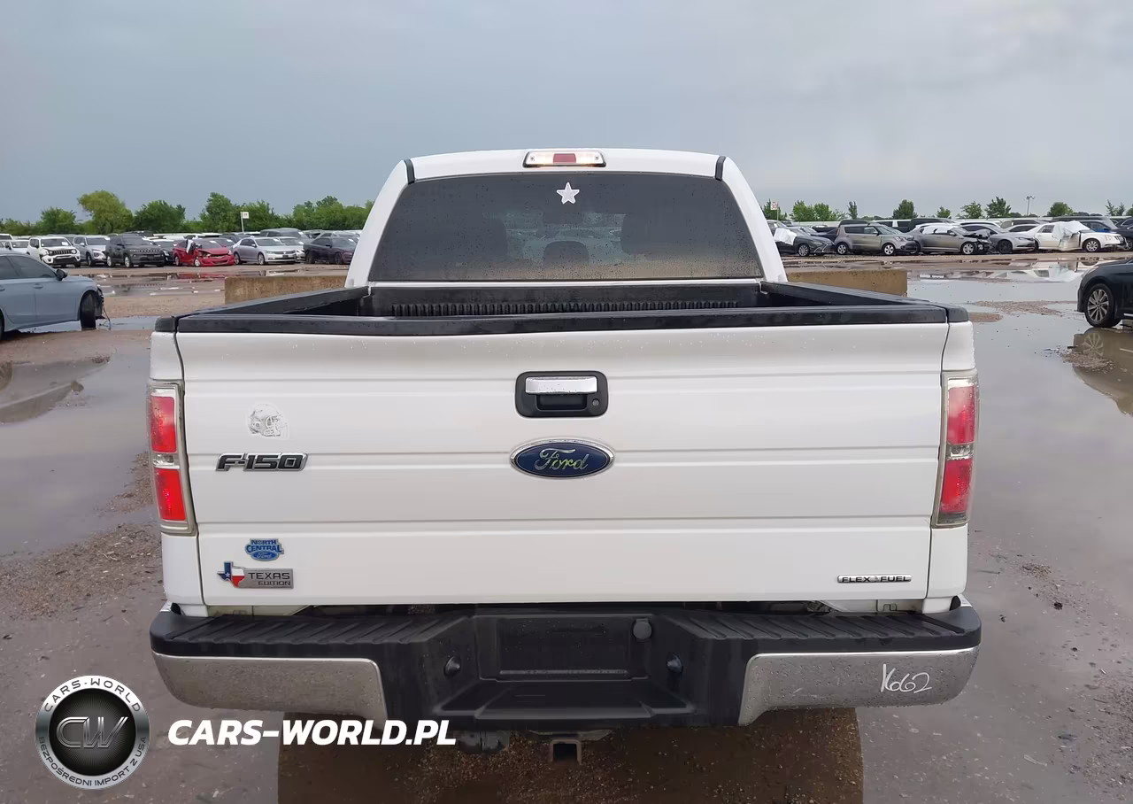 2013 Ford F-150 Xlt VIN:1FTEW1CMXDFE01874 - 17