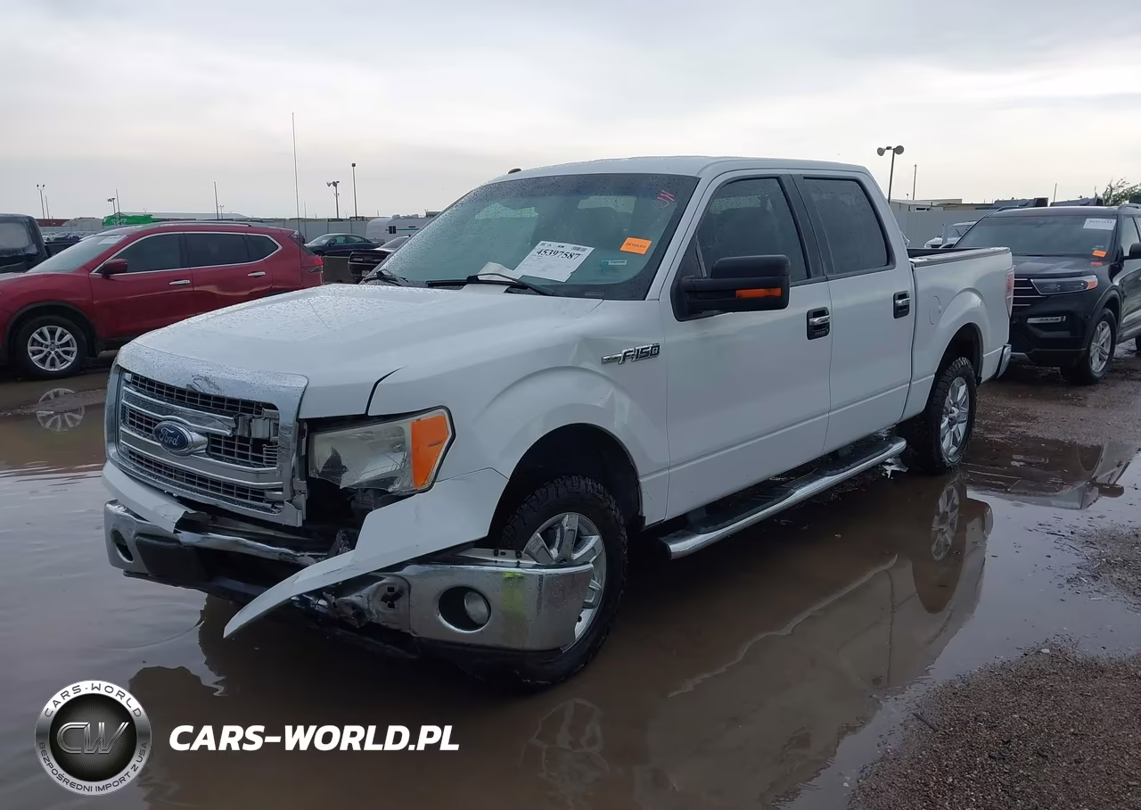 2013 Ford F-150 Xlt VIN:1FTEW1CMXDFE01874 - 2