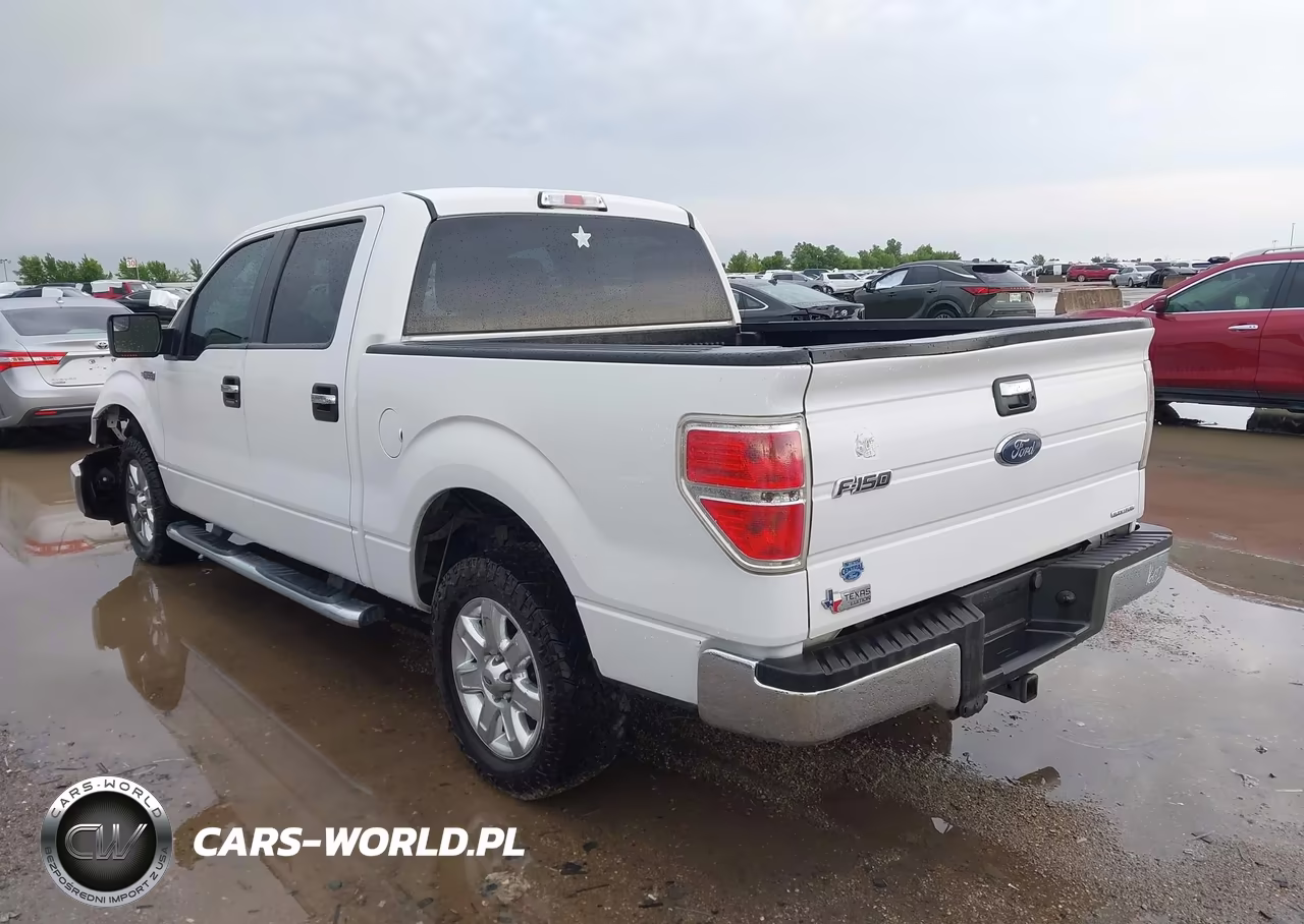 2013 Ford F-150 Xlt VIN:1FTEW1CMXDFE01874 - 3