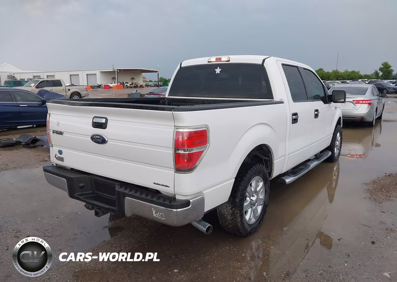 2013 Ford F-150 Xlt VIN:1FTEW1CMXDFE01874 - 4