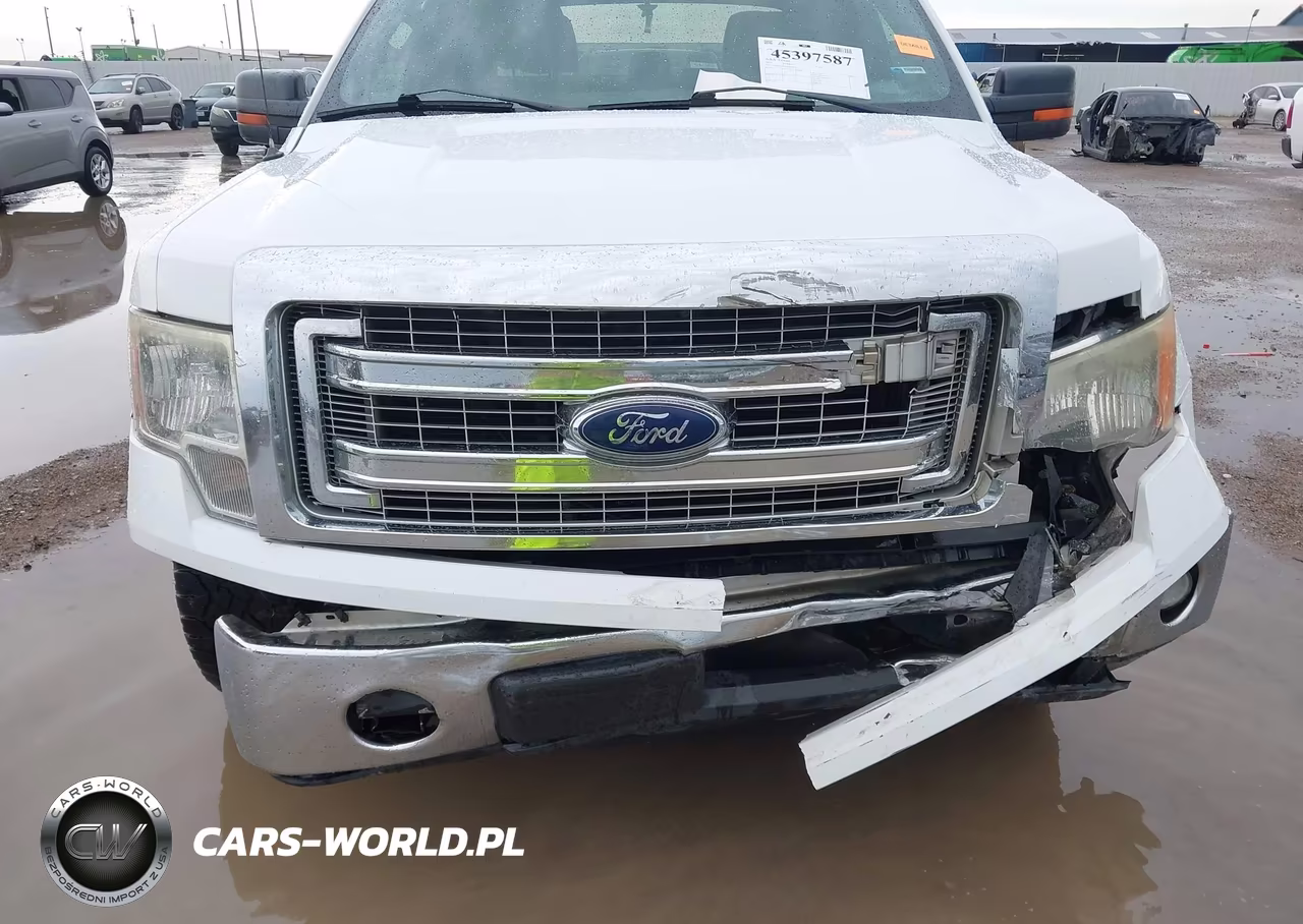 2013 Ford F-150 Xlt VIN:1FTEW1CMXDFE01874 - 6