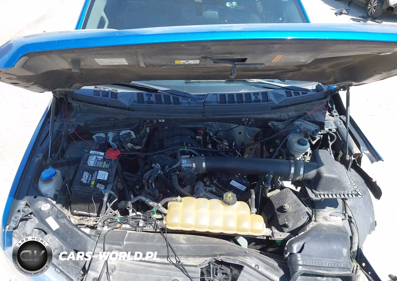 2019 Ford F-150 Xl-Xlt VIN:1FTEW1EB8KFA65960 - 10