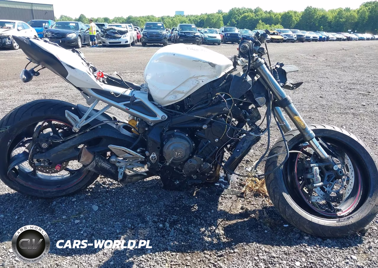 2019 Triumph Motorcycle Street Triple Rs VIN:SMTA464SXKT928070 - 12