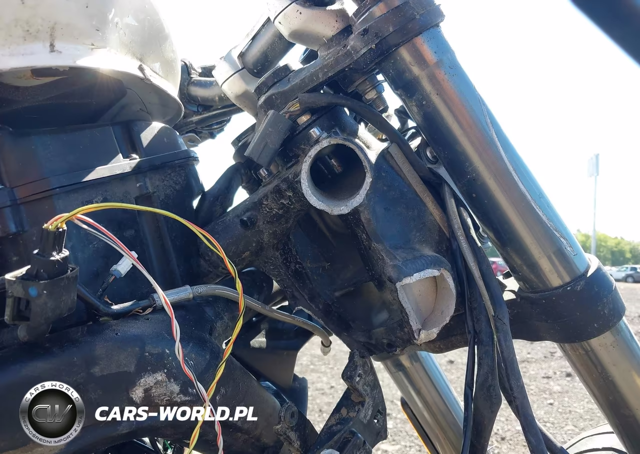 2019 Triumph Motorcycle Street Triple Rs VIN:SMTA464SXKT928070 - 14
