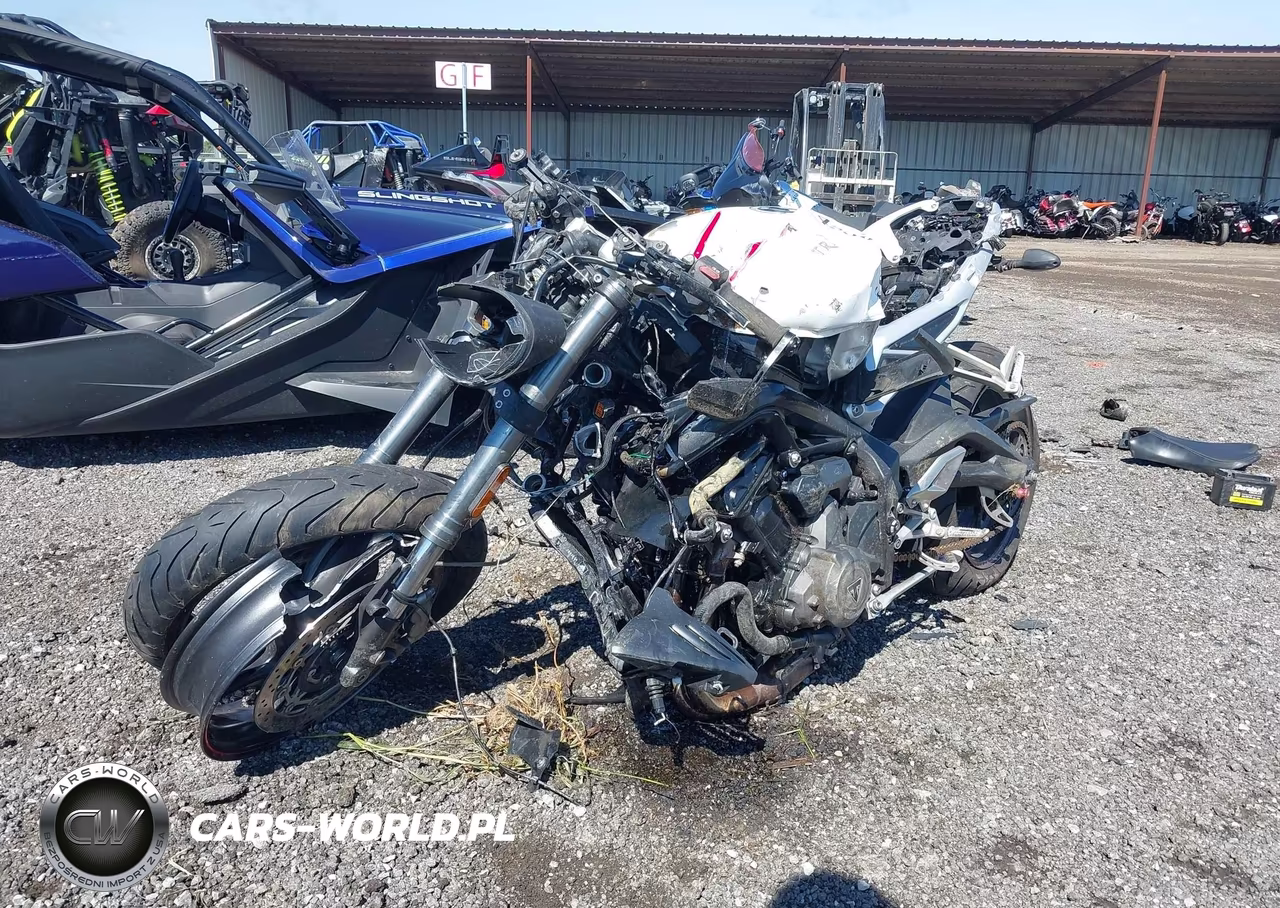 2019 Triumph Motorcycle Street Triple Rs VIN:SMTA464SXKT928070 - 2